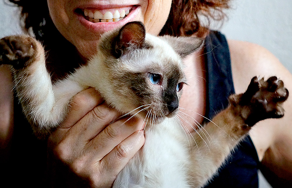 Arturino: la Tigre della Malesia