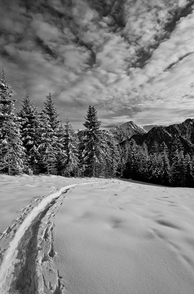 Nevicata a Schluppes 03