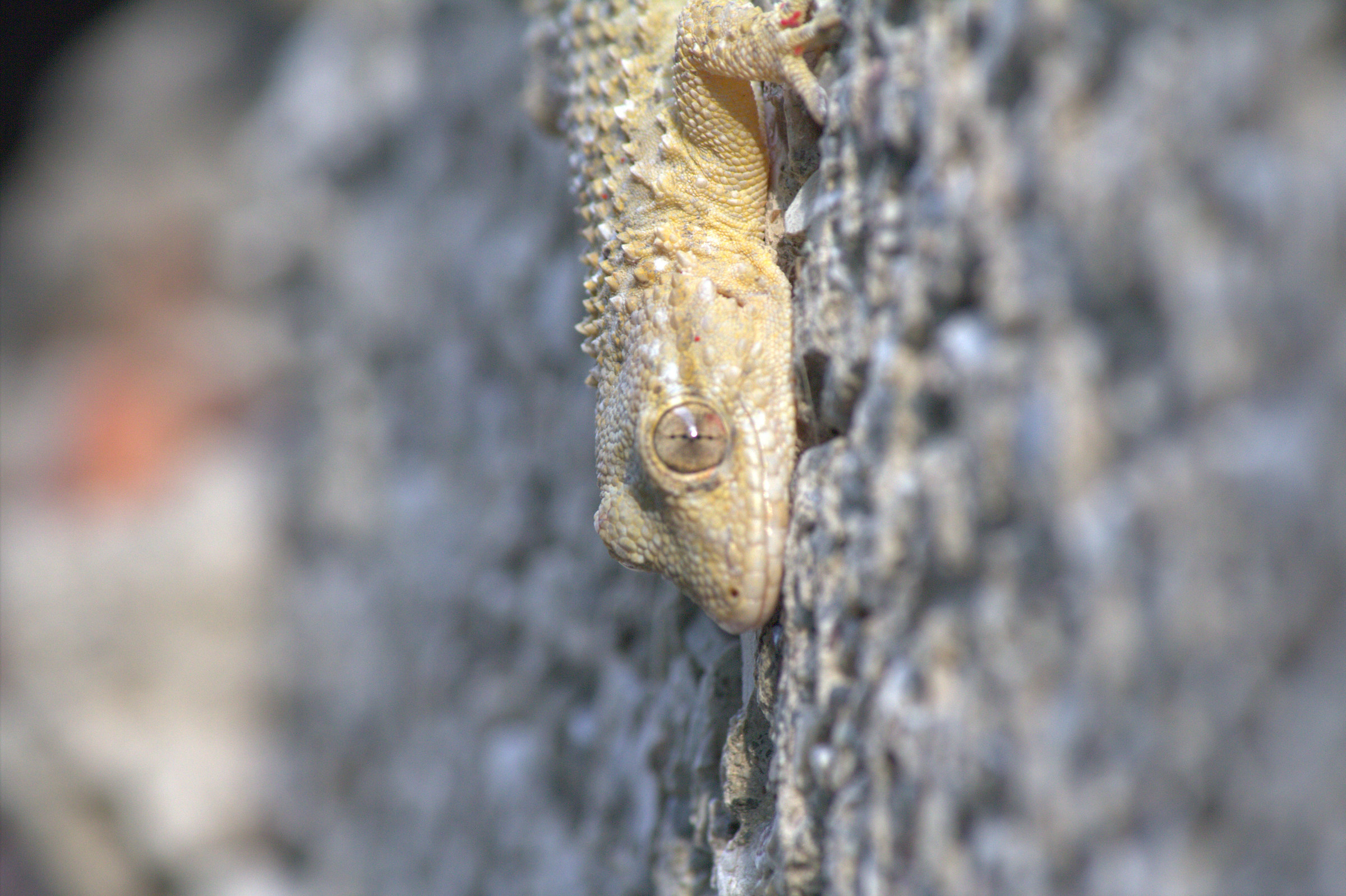 From here I do not mind