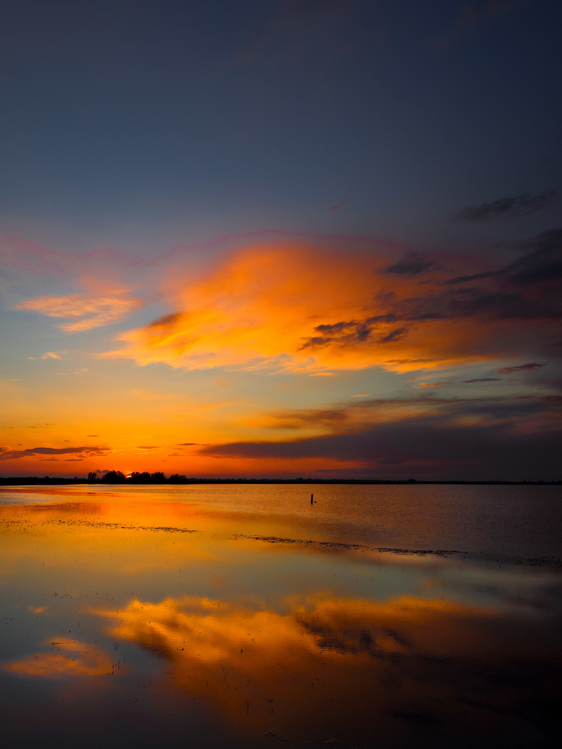 Fire on the water (camargue)