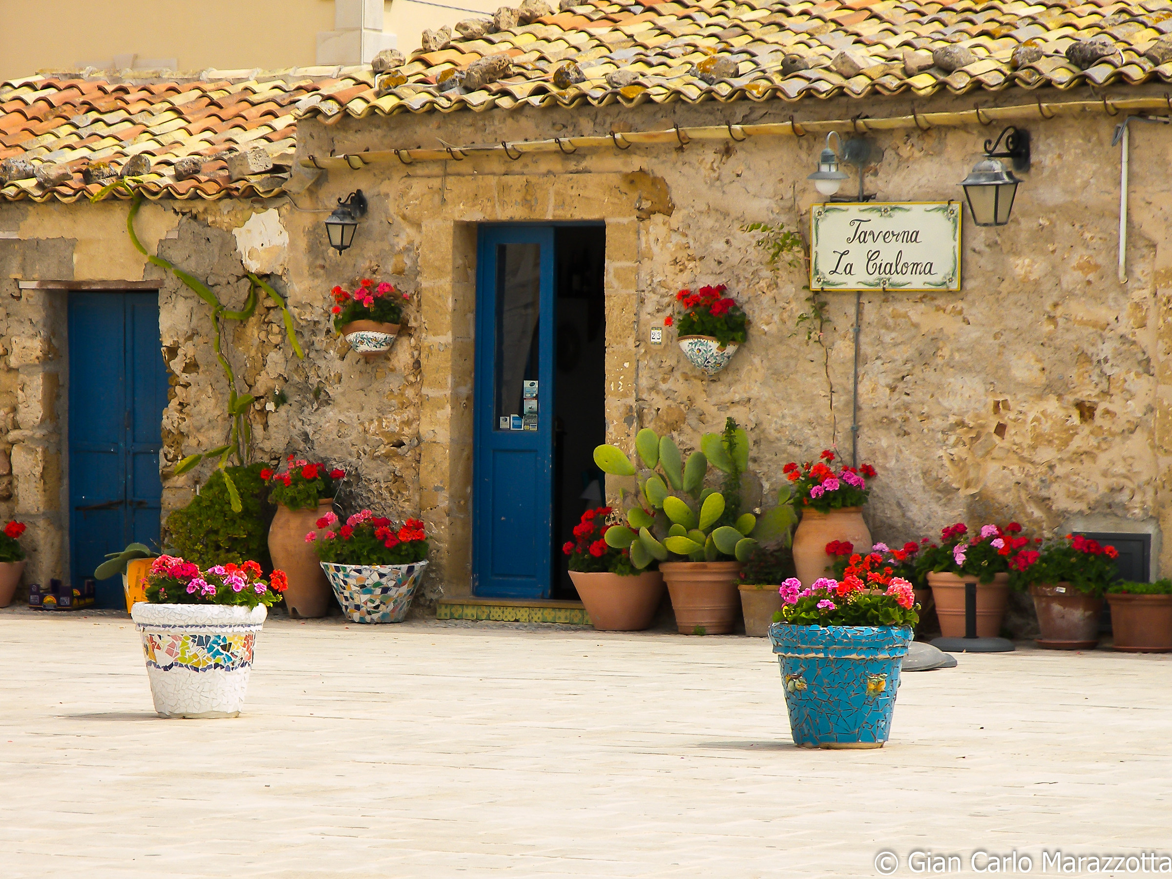 Colors and flavors of a time