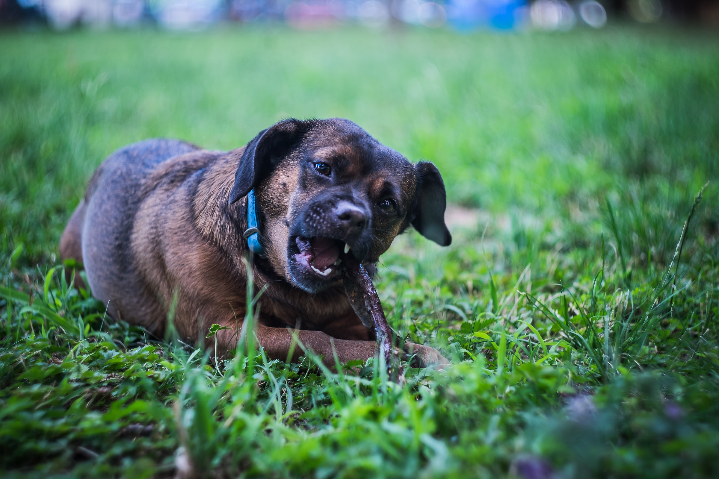 First Helios 44m-7 test