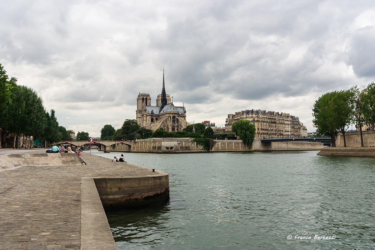 The Seine and Notre Dame