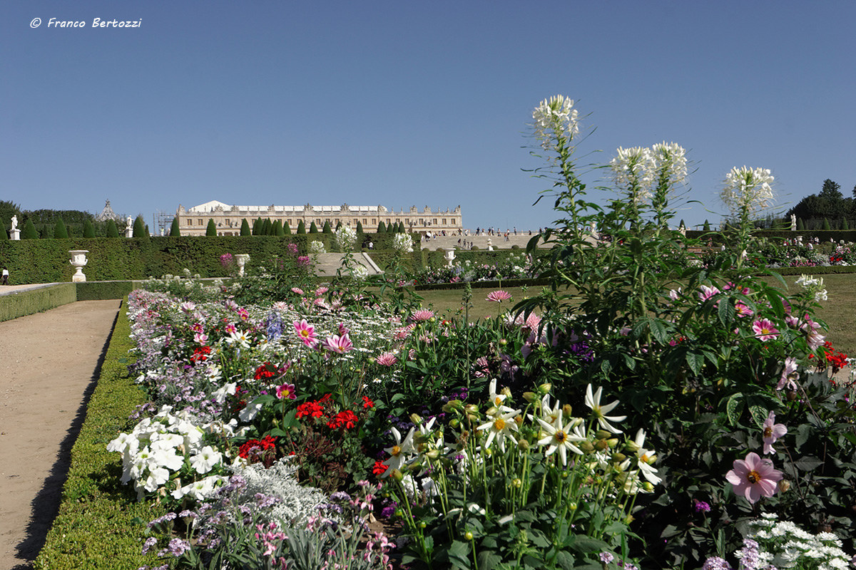 Versailles