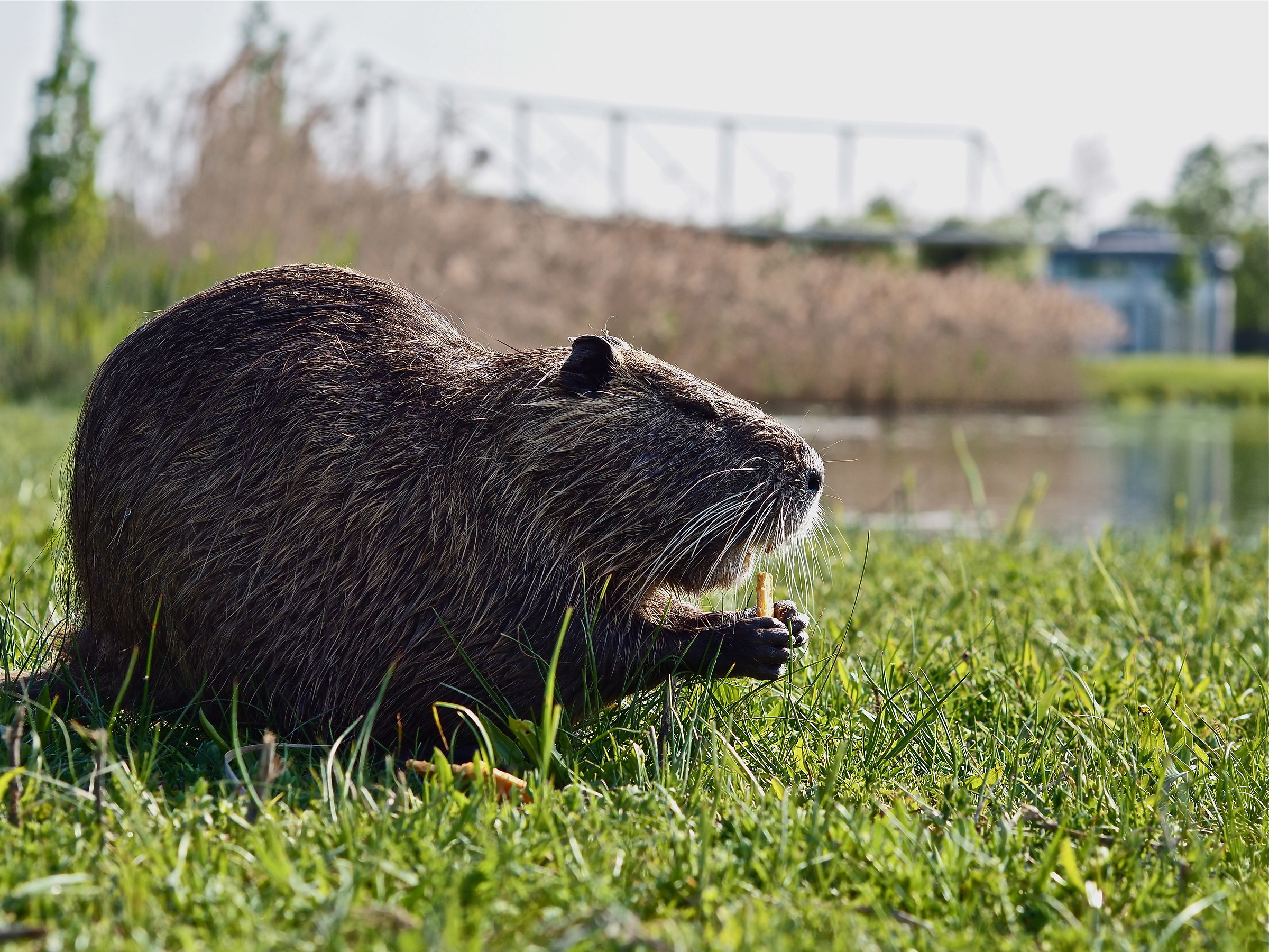 Beccata on crime scene !!!!