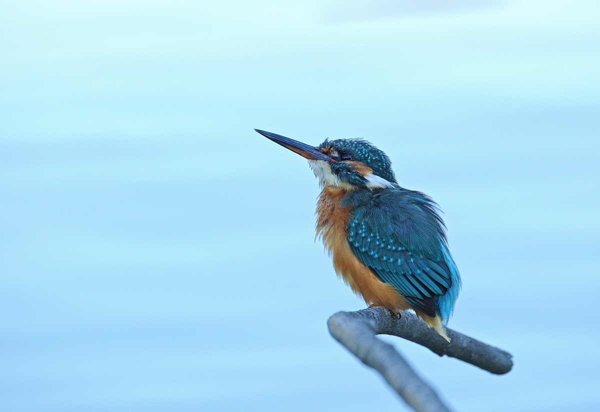 The prize after waiting ...