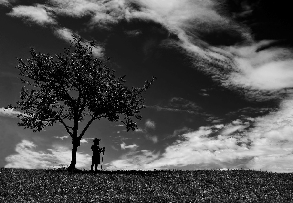 Piccola vedetta lombarda