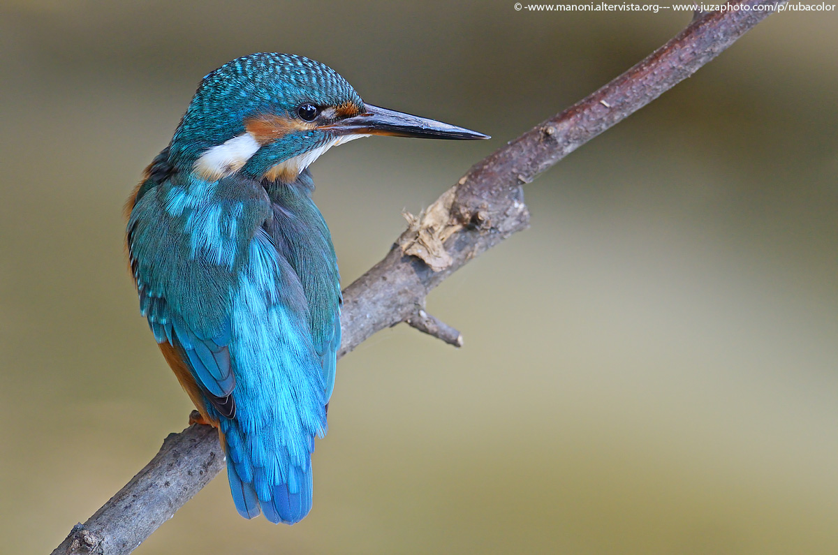 The rest of the lightning blue