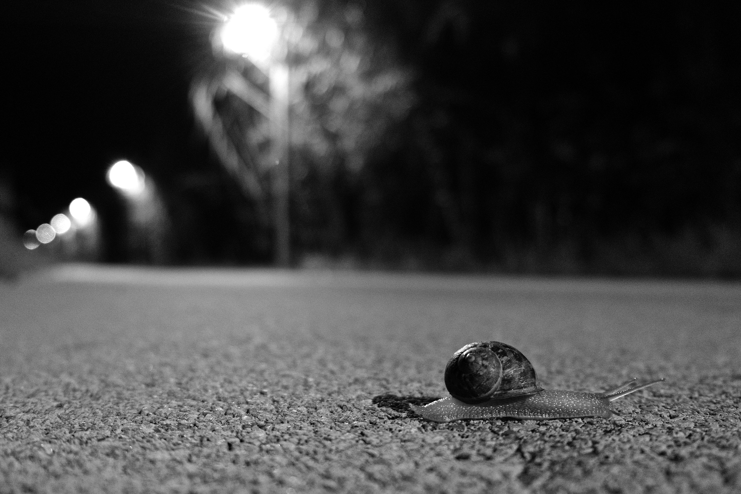 On the street ... calmly !!!