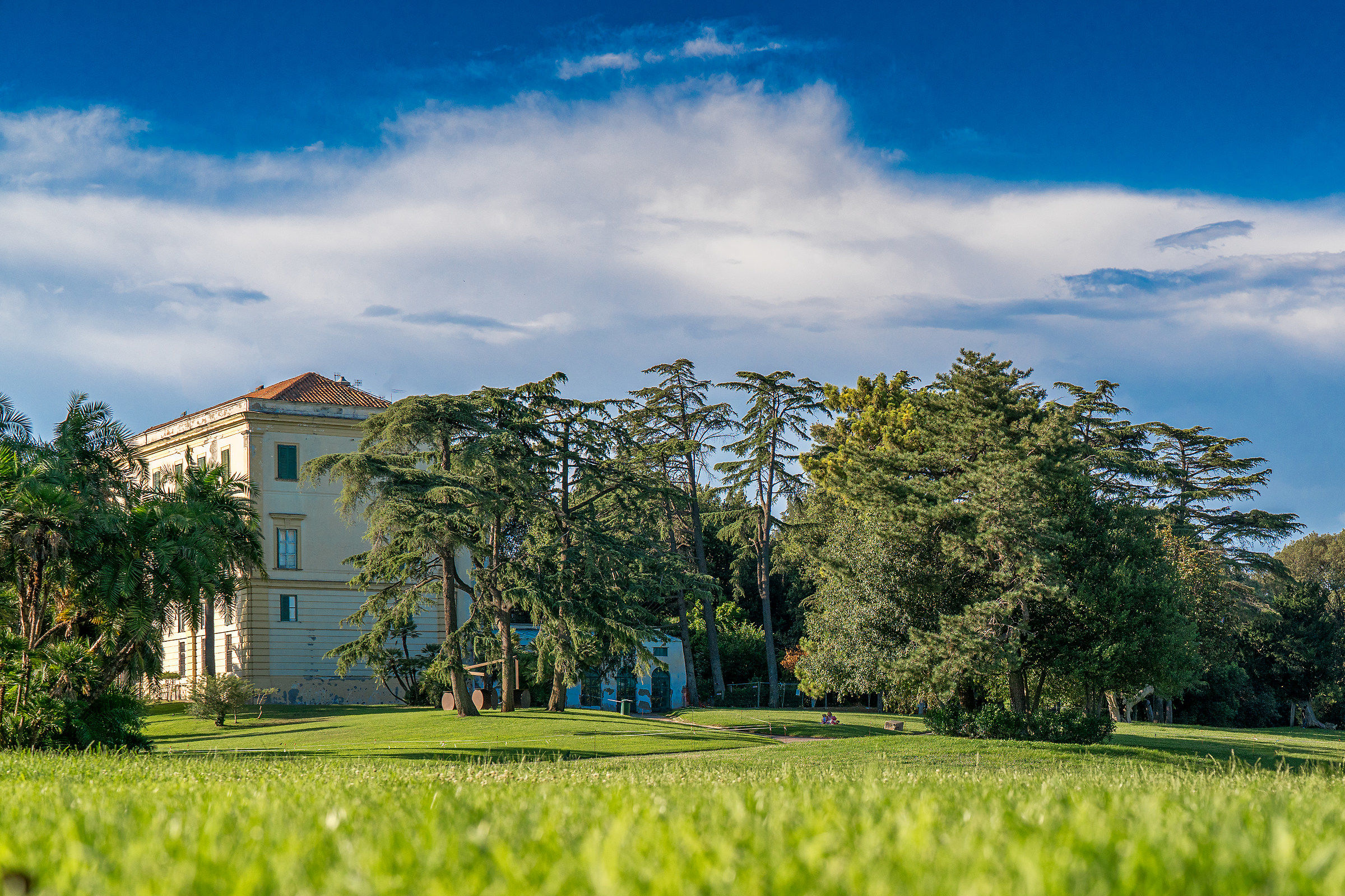 Real bosco di Capodimonte...