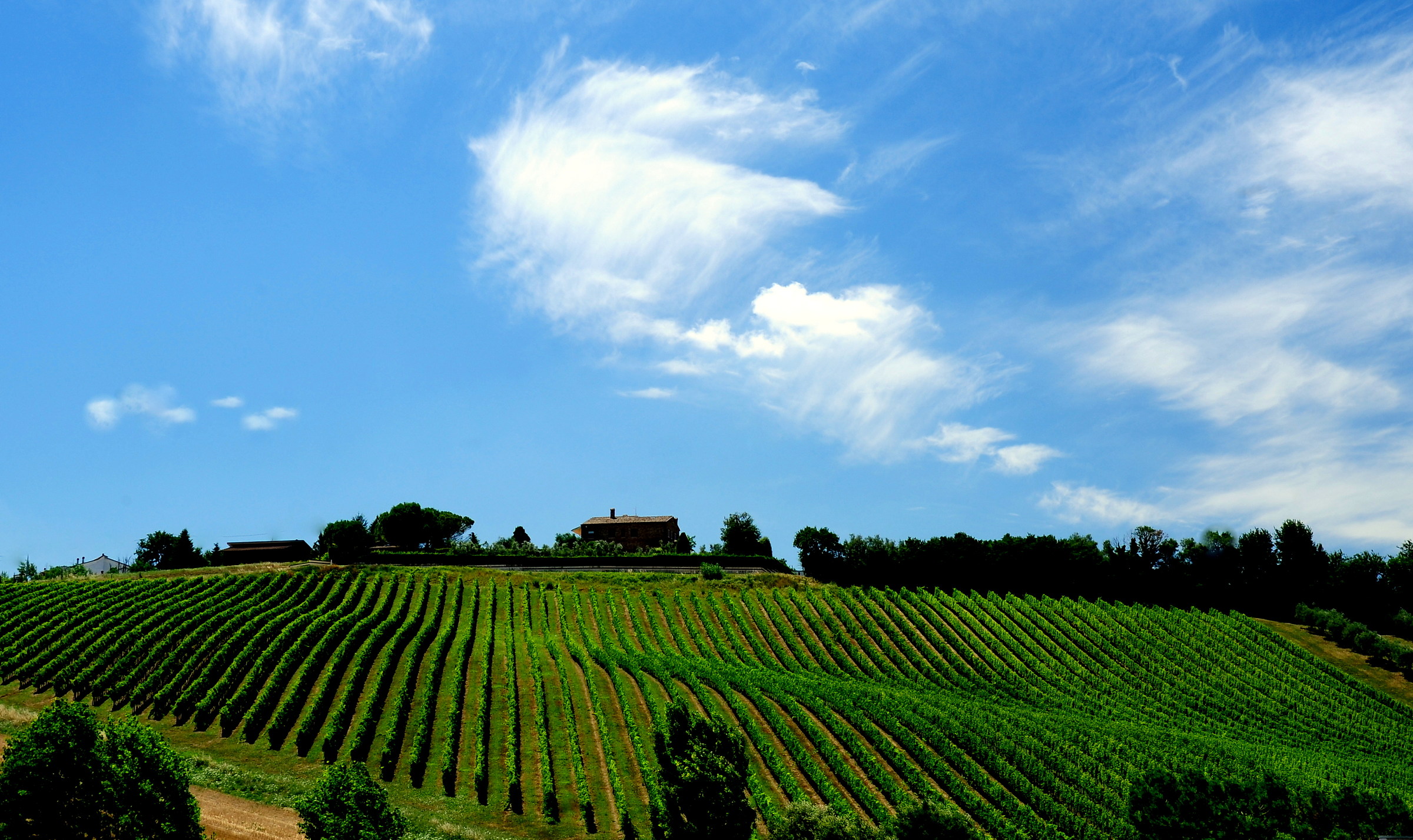 Campagna marchigiana