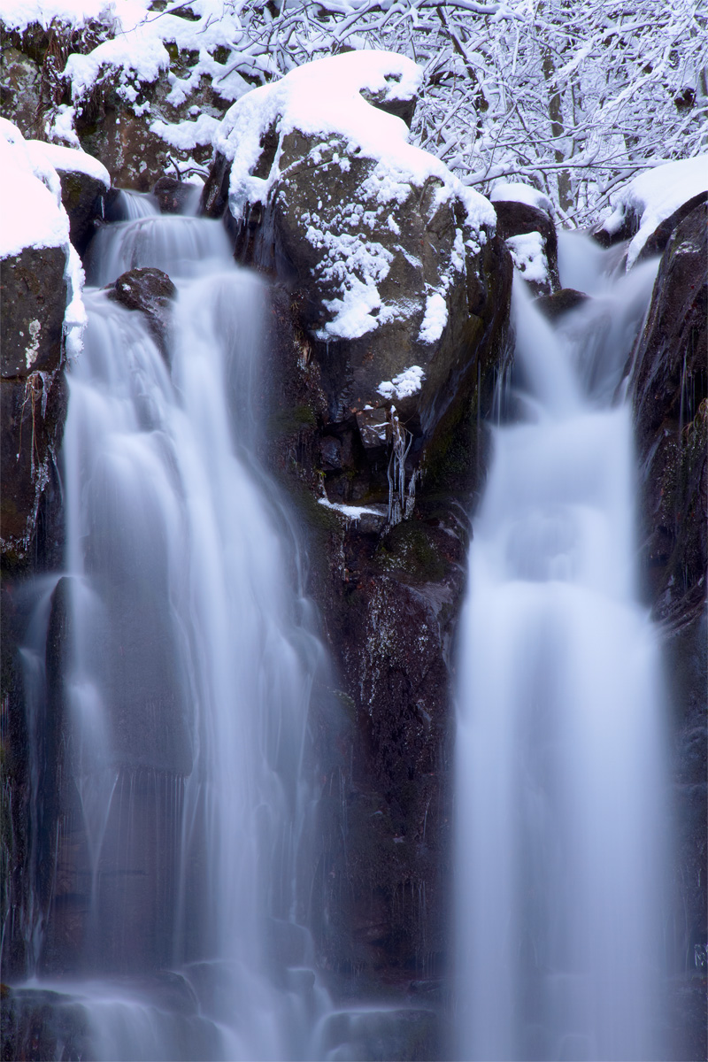 Cascate del Dardagna (particolare)