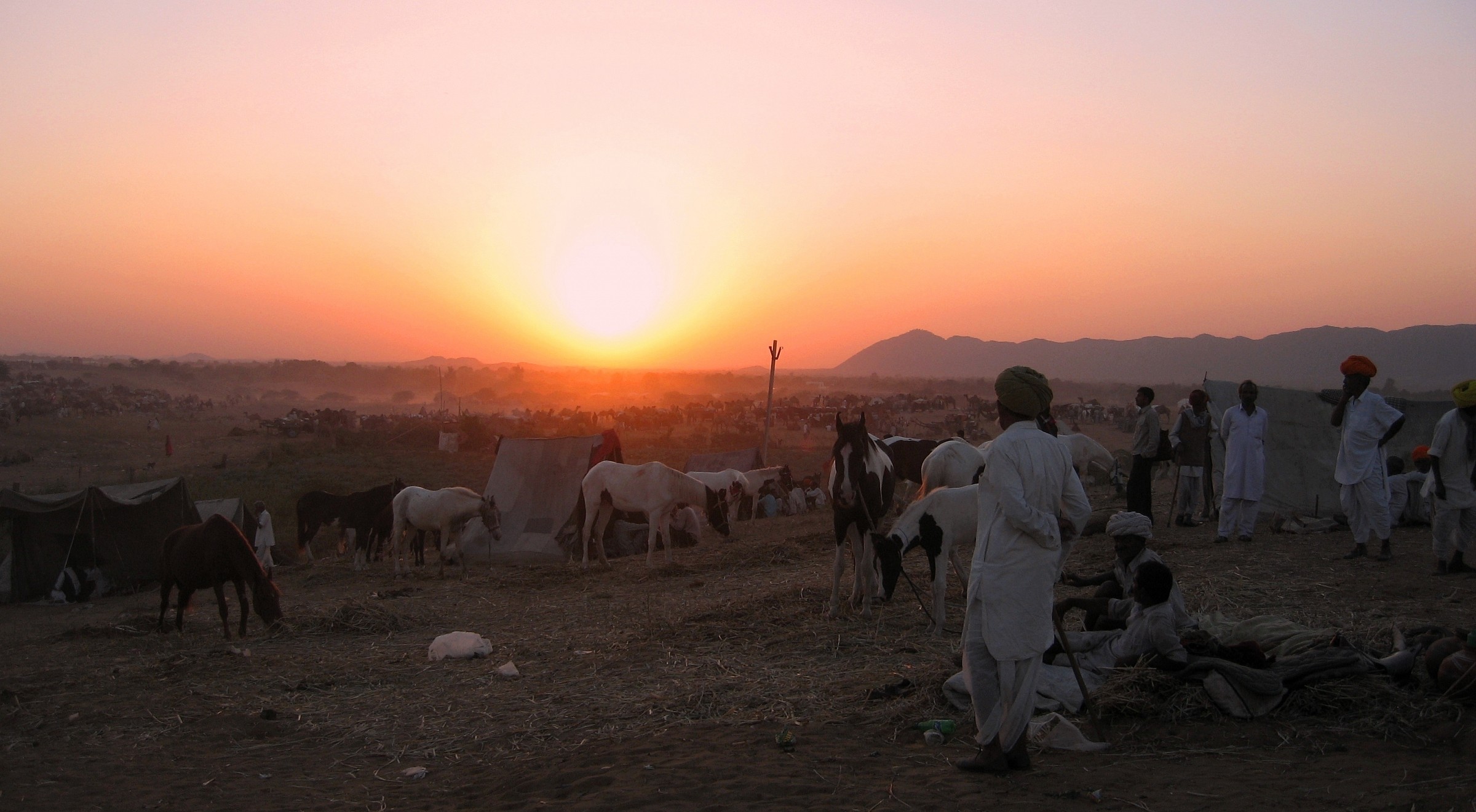 Tramonto Puschkar fiera del bestiame - Rajasthan/India