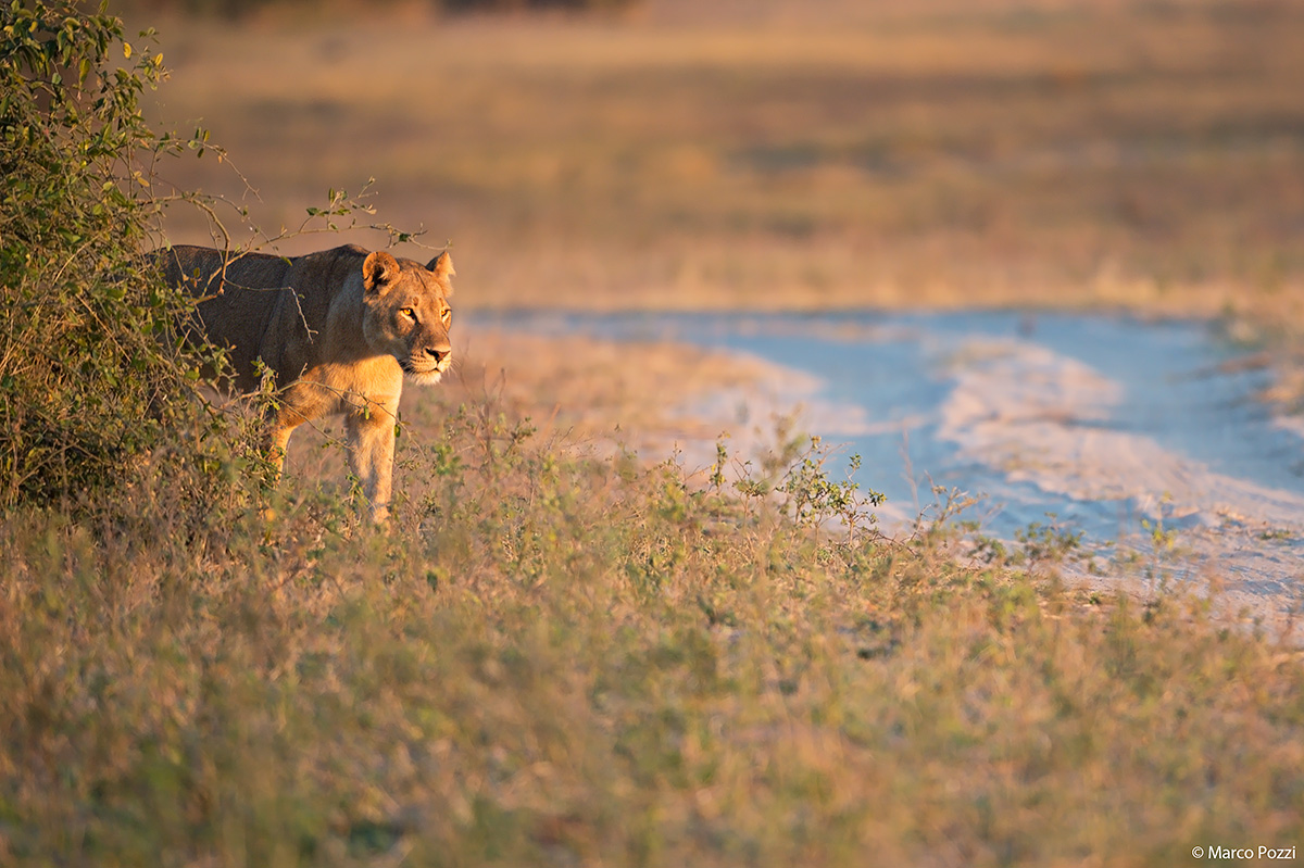 Mom looks at everything