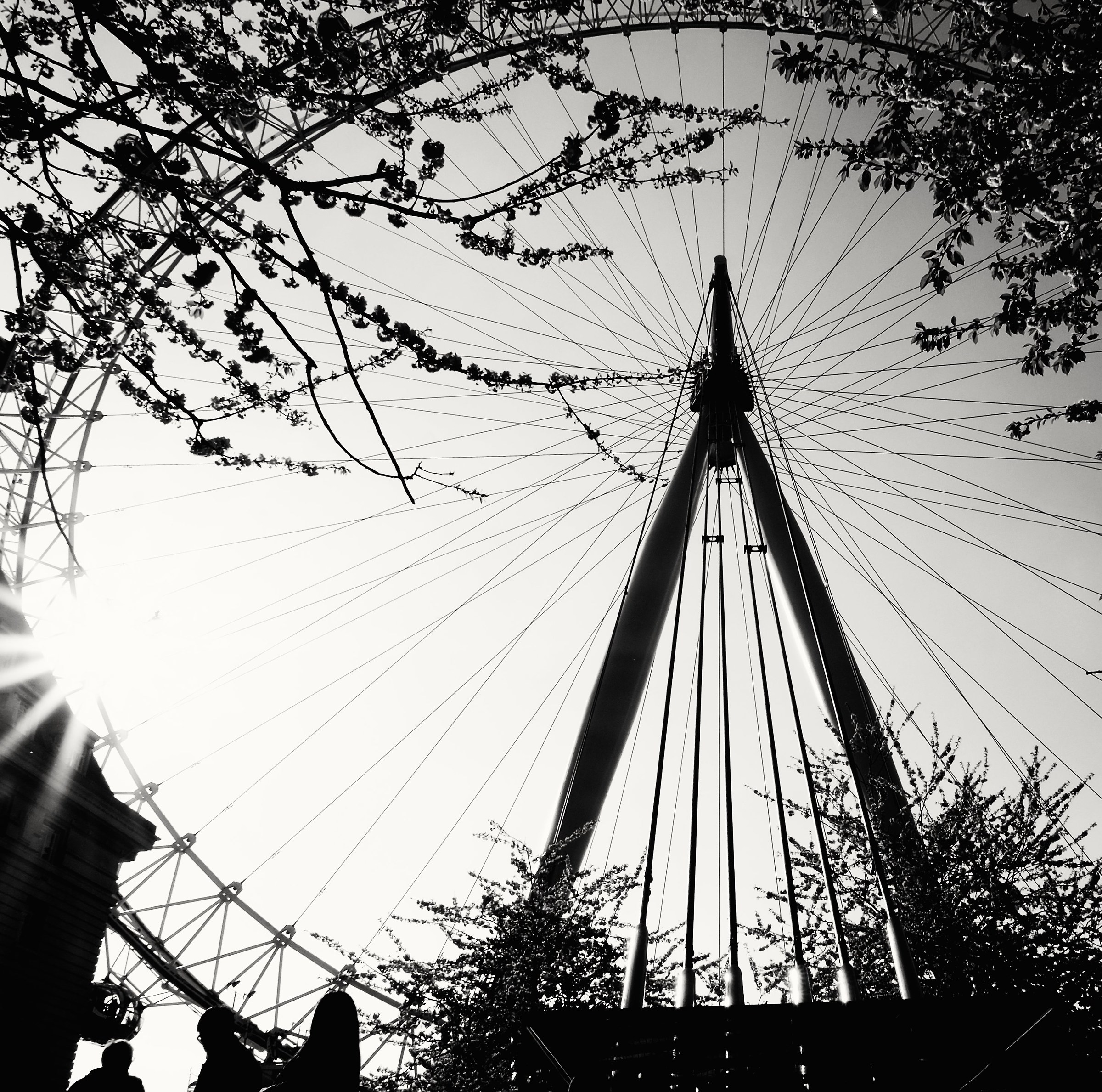 Spring at the London Eye
