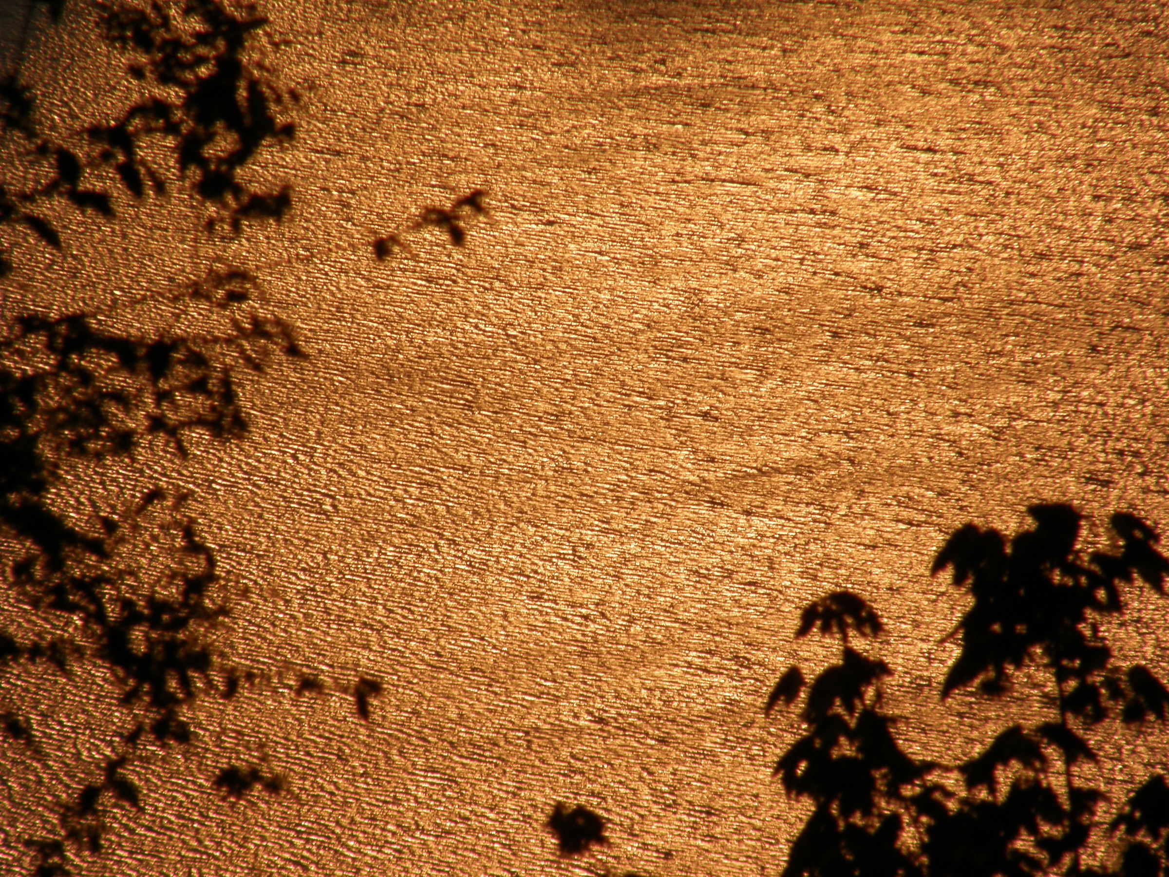 Sunset over Albano lake