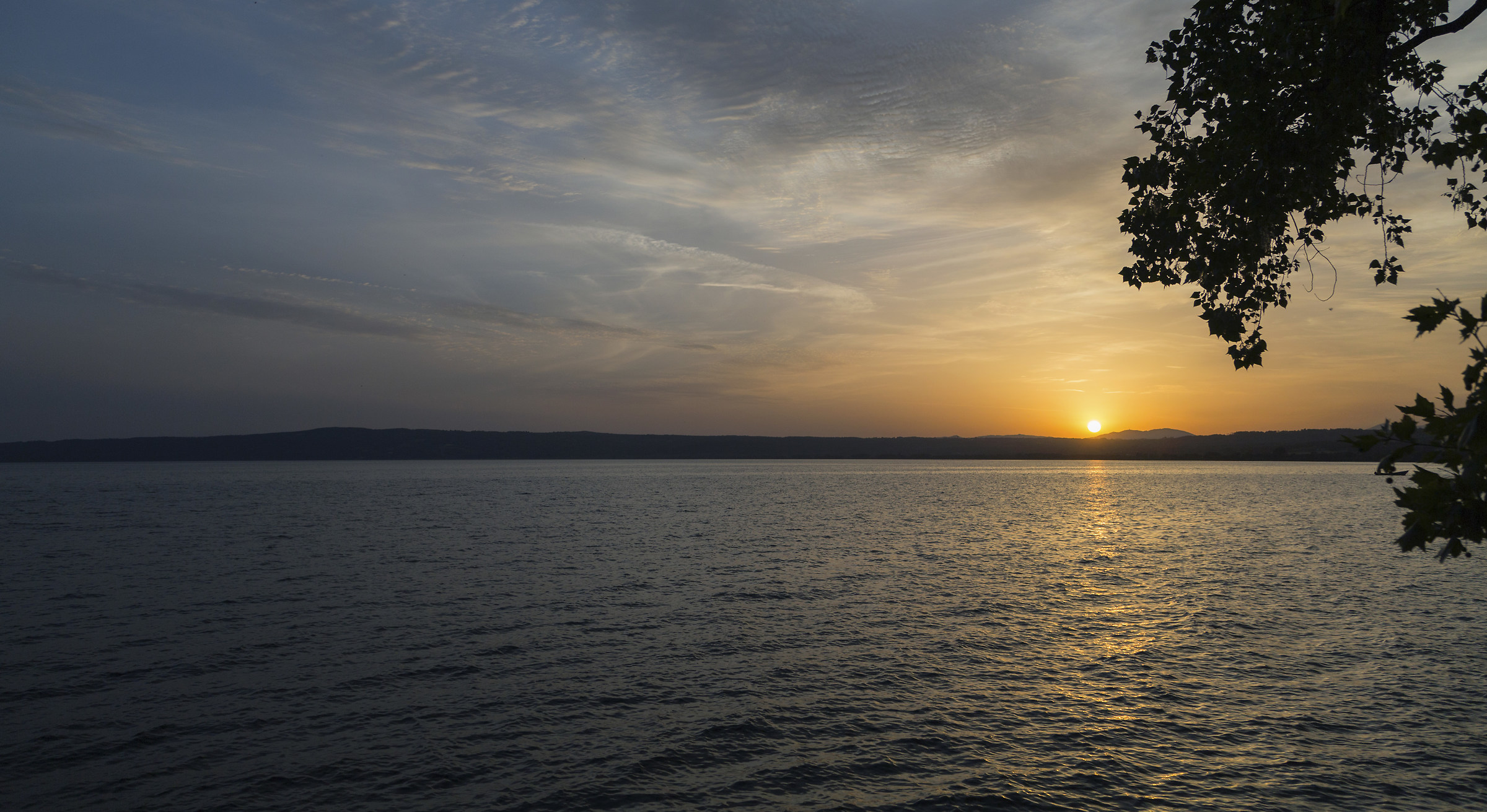 Bolshevik Tramontino