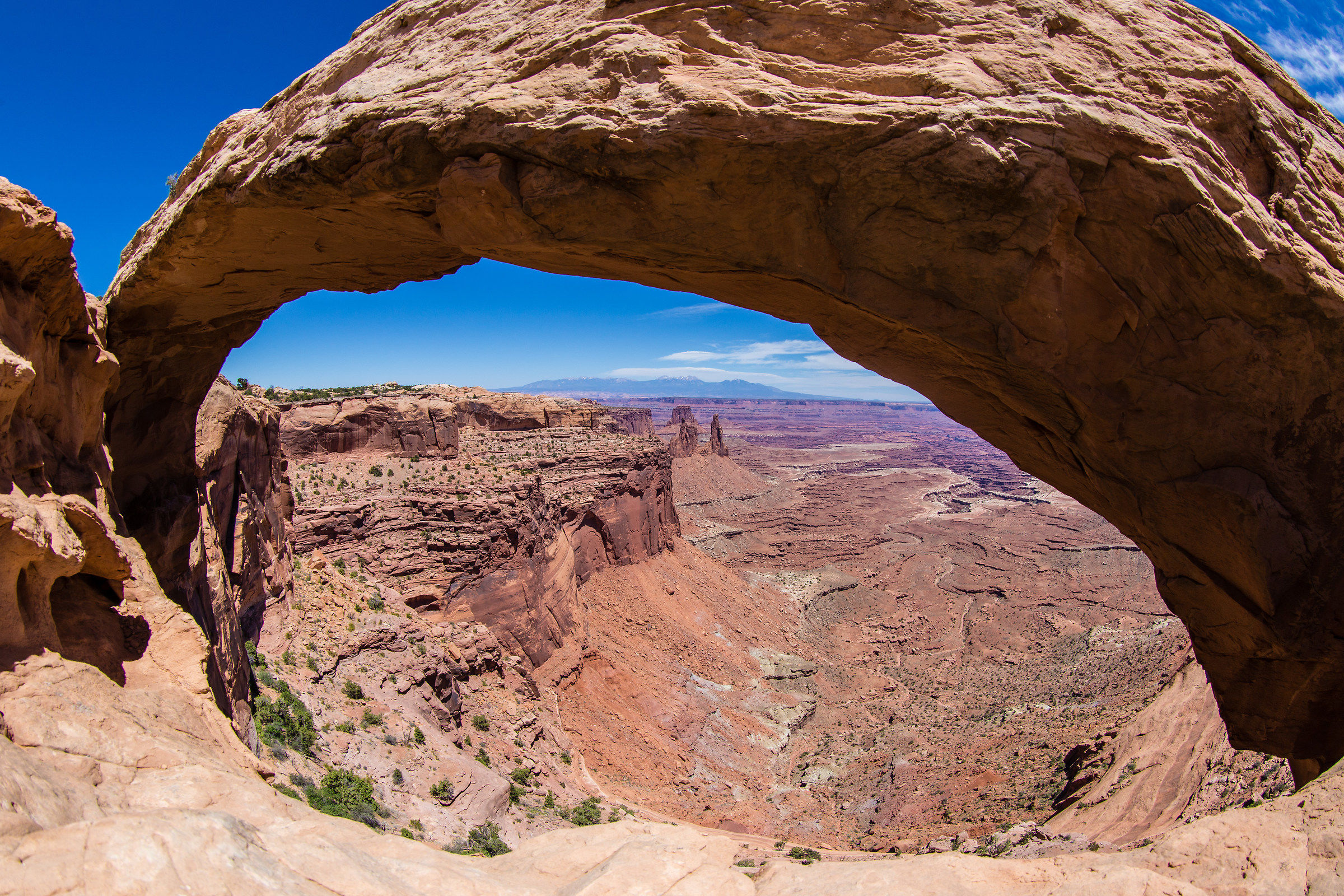 Mesa Arch, Parco Nazionale del Canyonland, Utak, Stati Uniti...