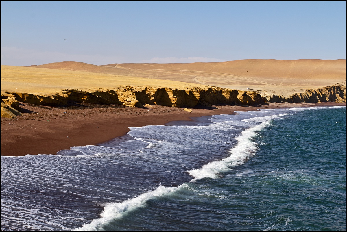 la reserva de Paracas