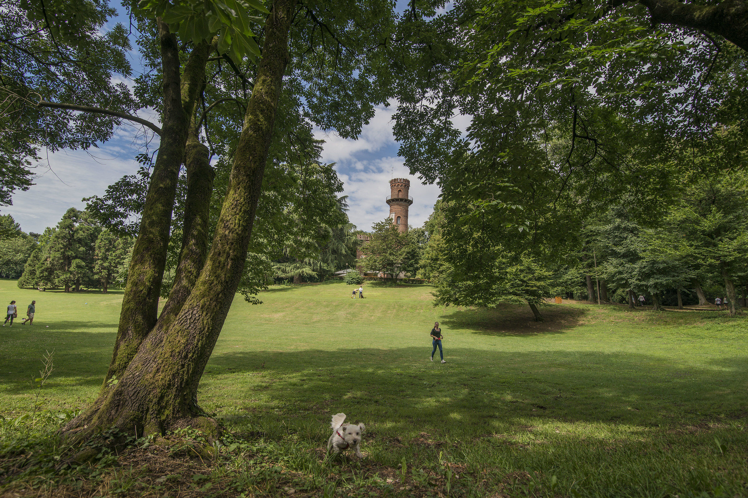 parco di monza giardino villa Reale