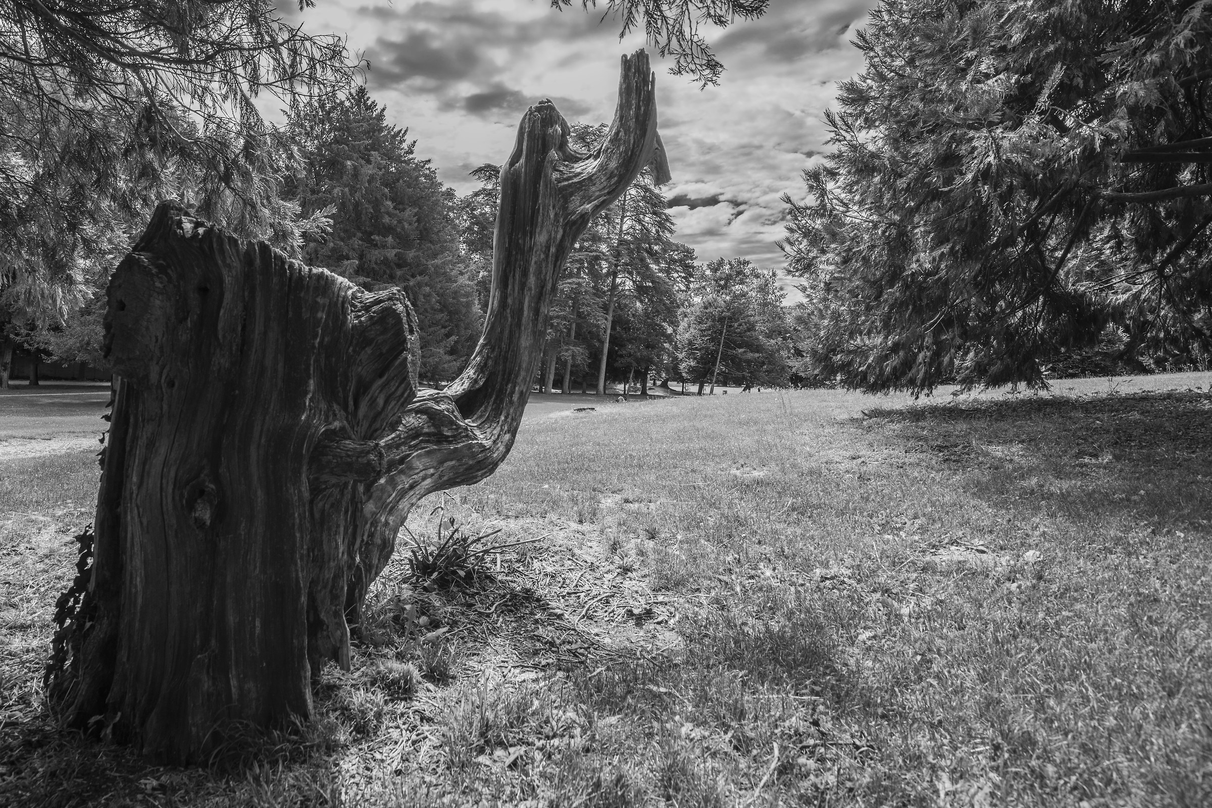 parco di monza giardino villa Reale