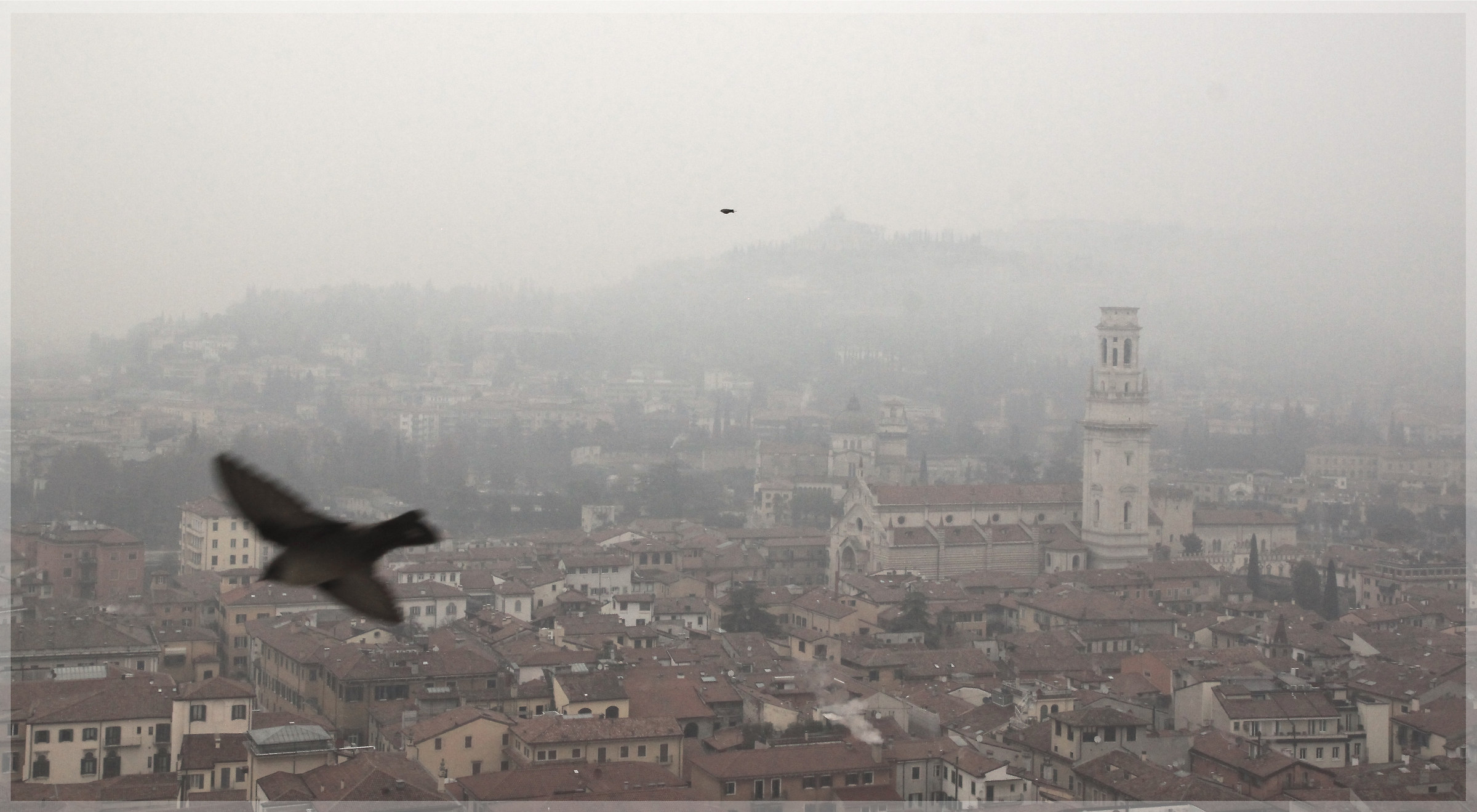 Hopes in flight, early January