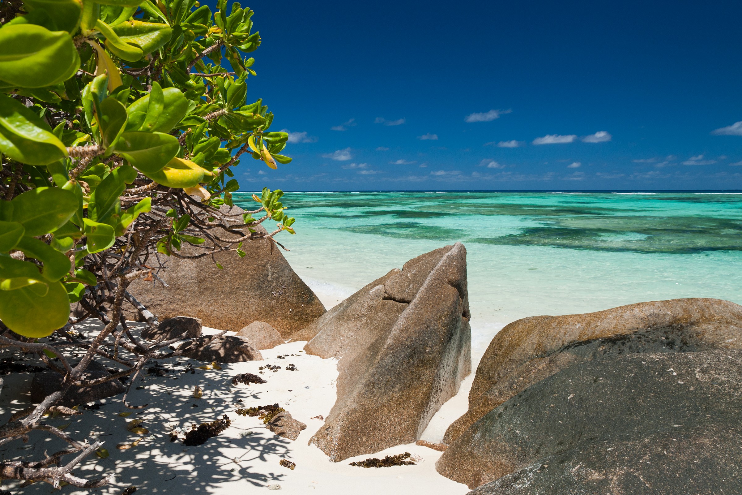 Seychelles - Anse Lazio