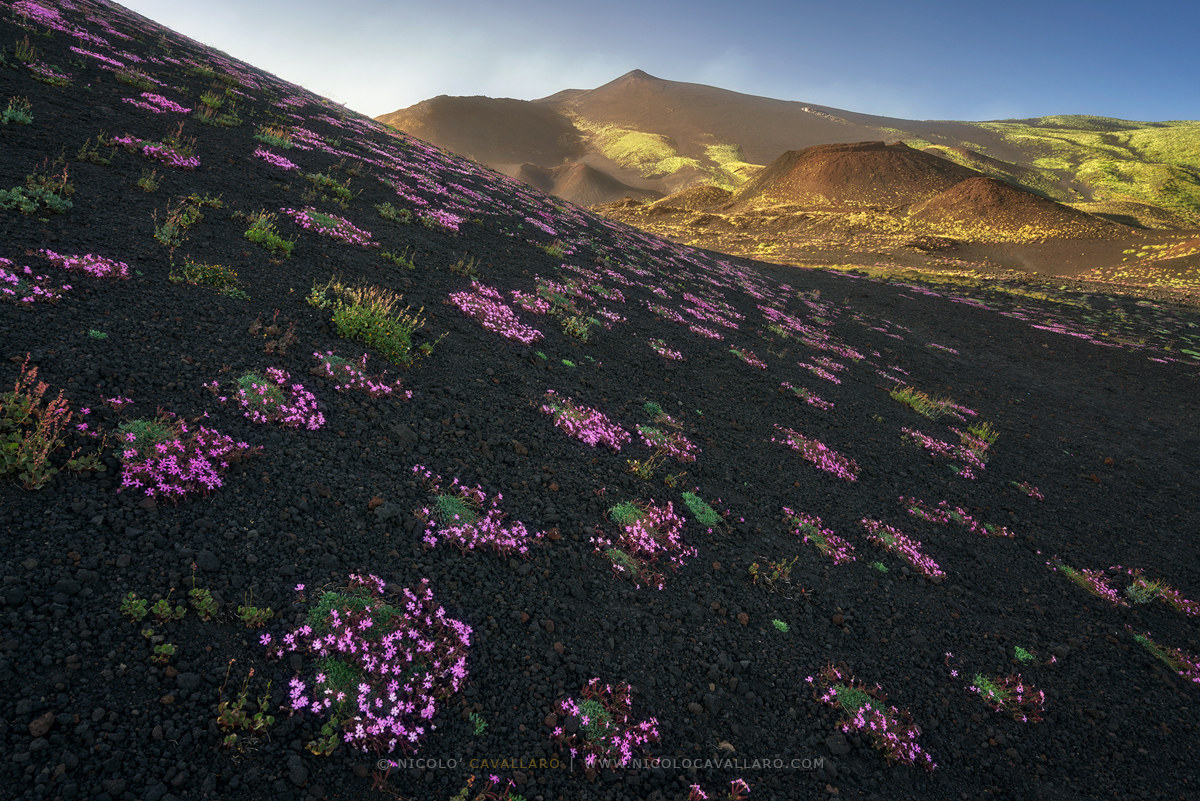 Etna - Summer colors