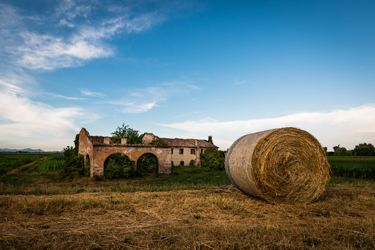 The discreet charm of the dance