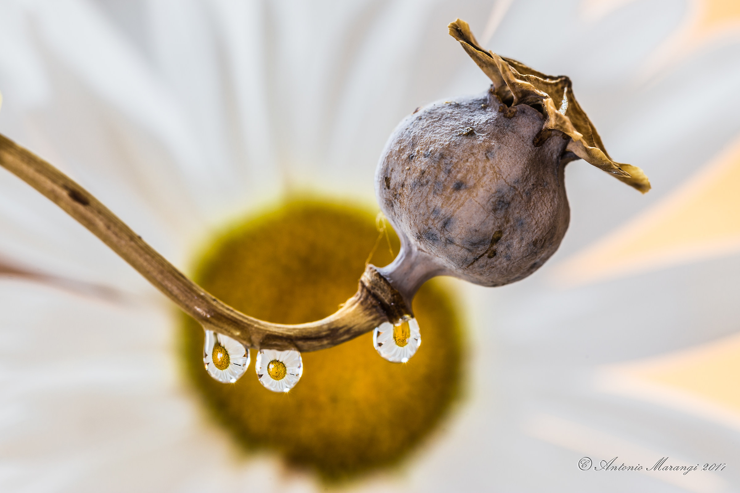 The sacred and the profane