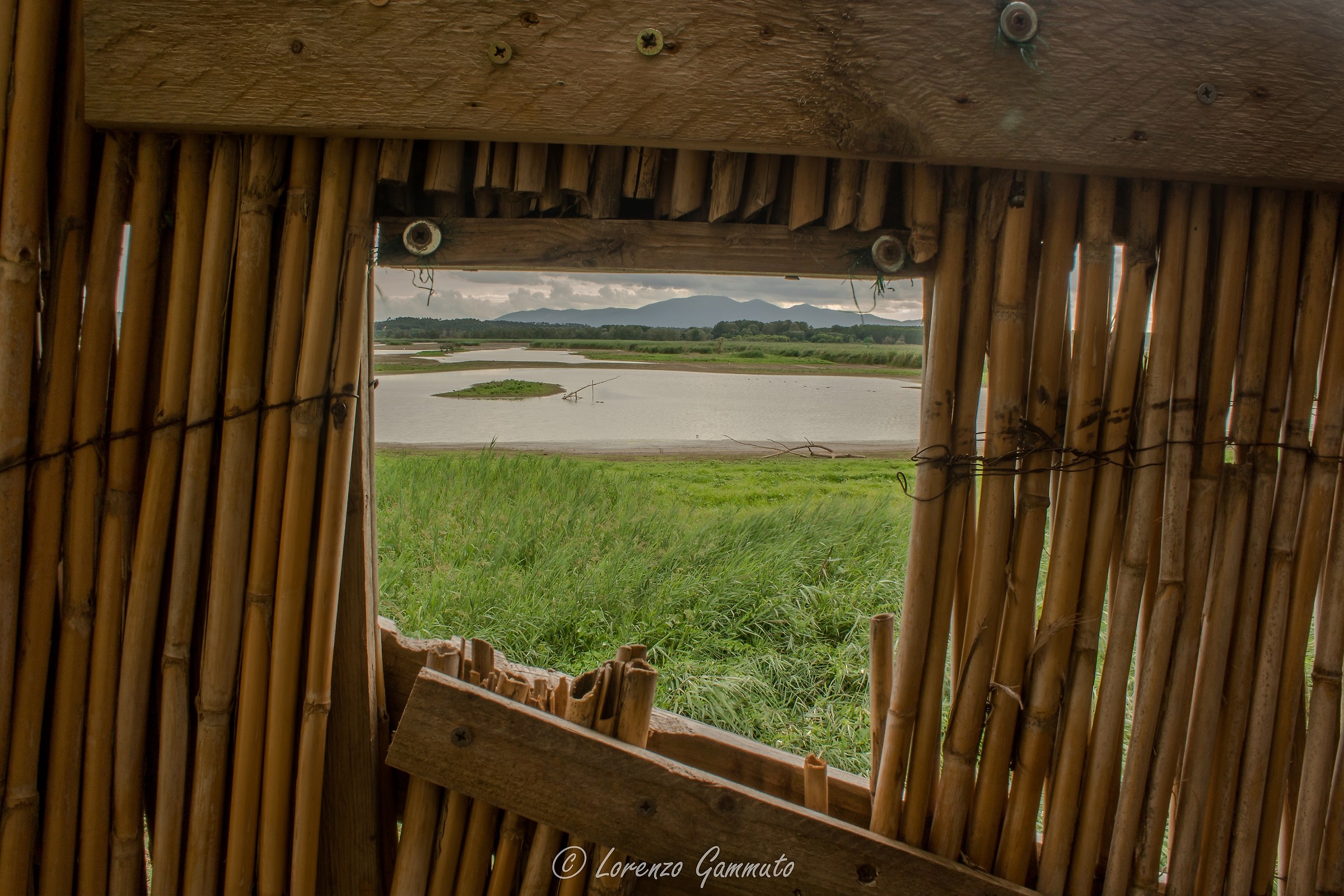 Overlooking the window