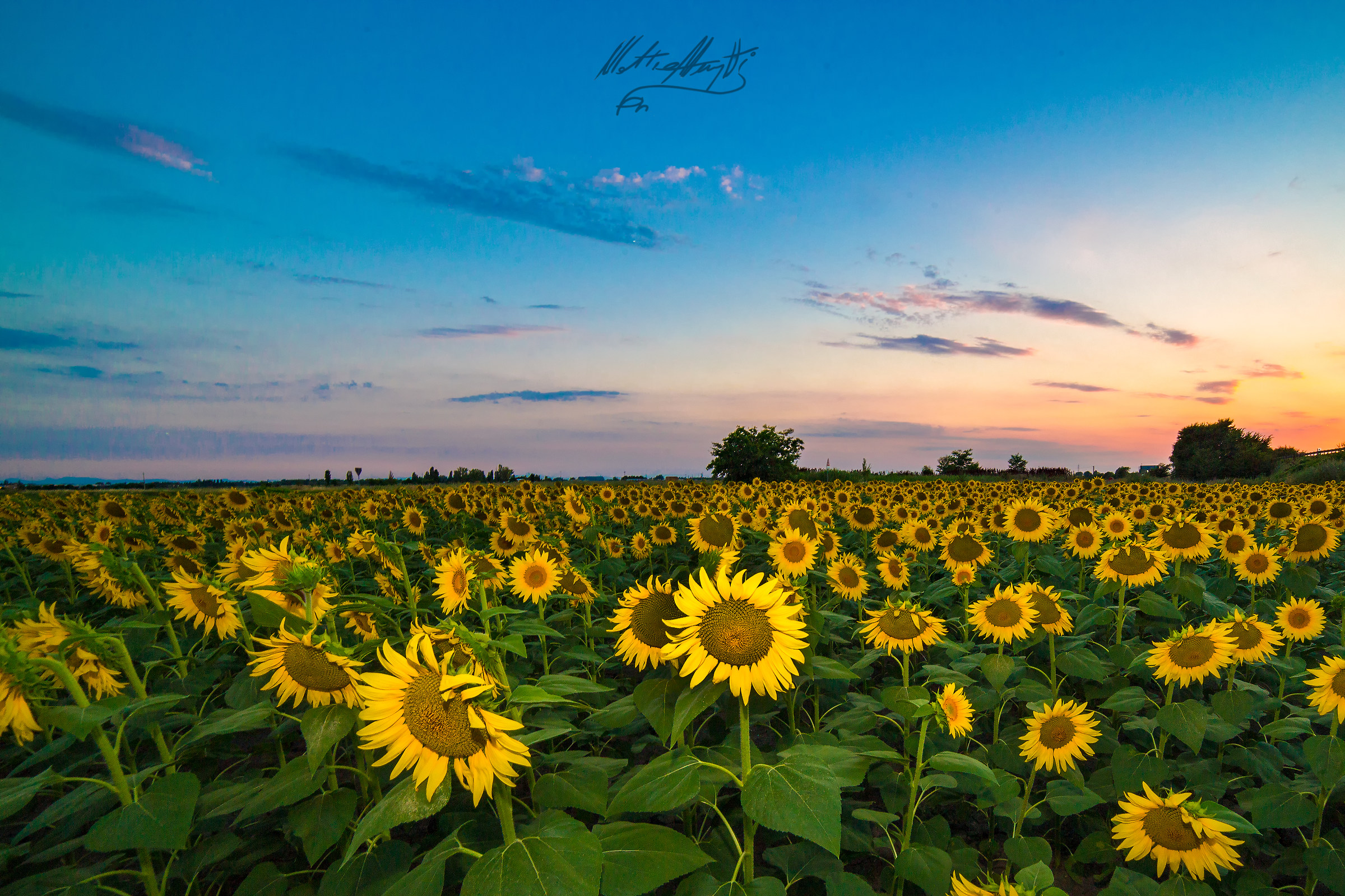 Going to the countryside ...