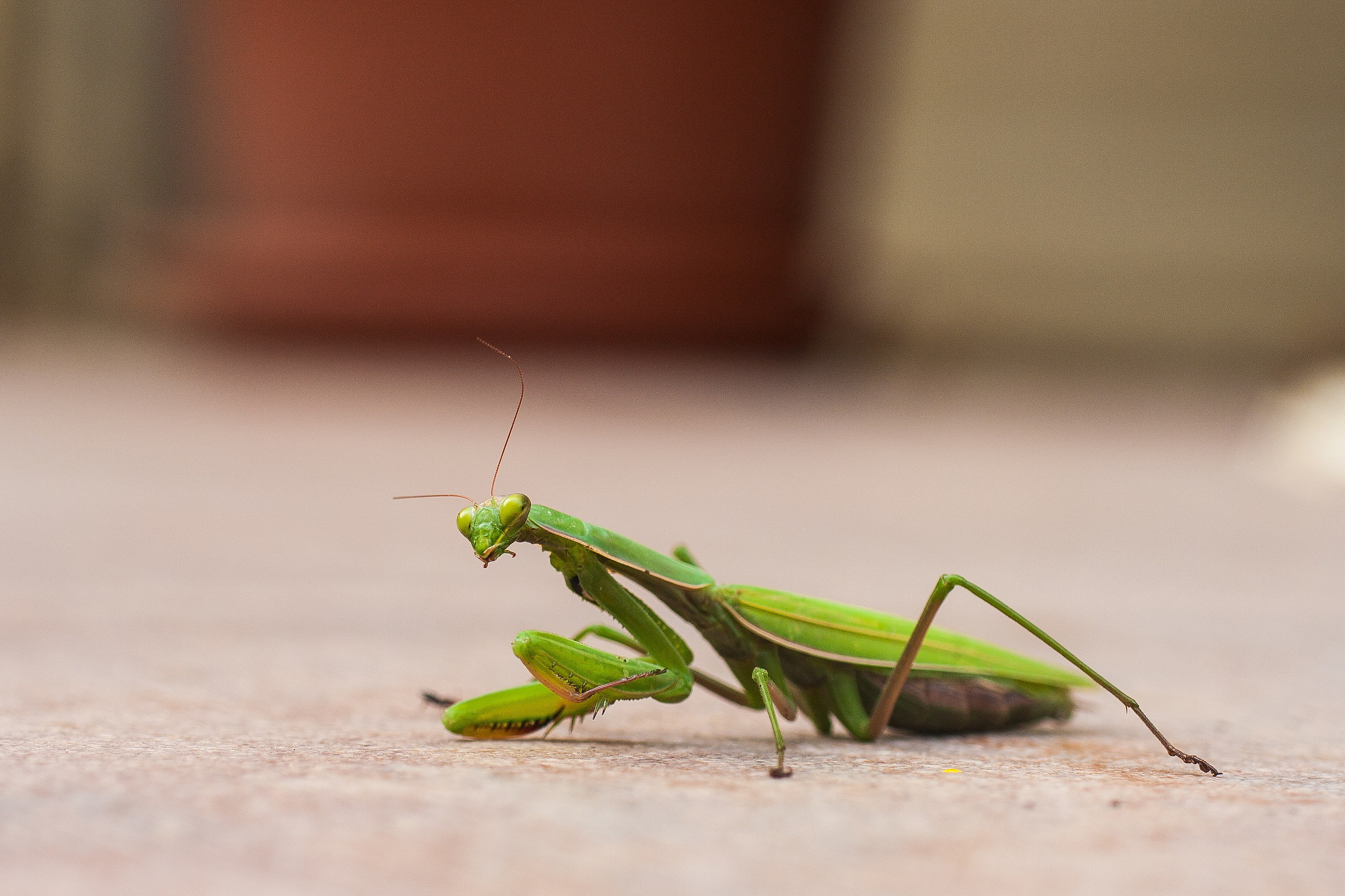 what are you looking?