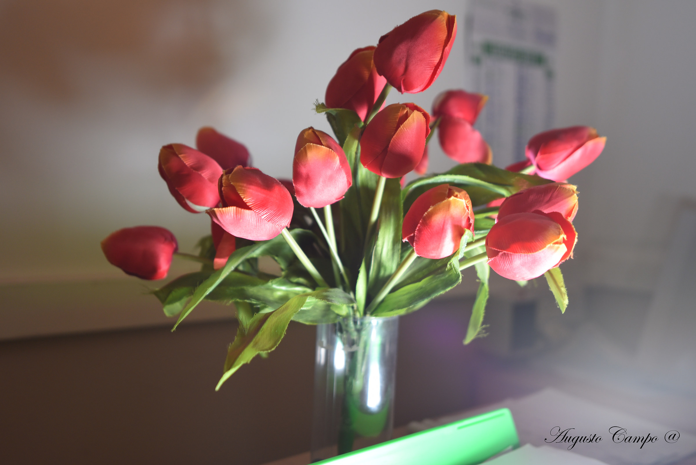 Synthetic tulips