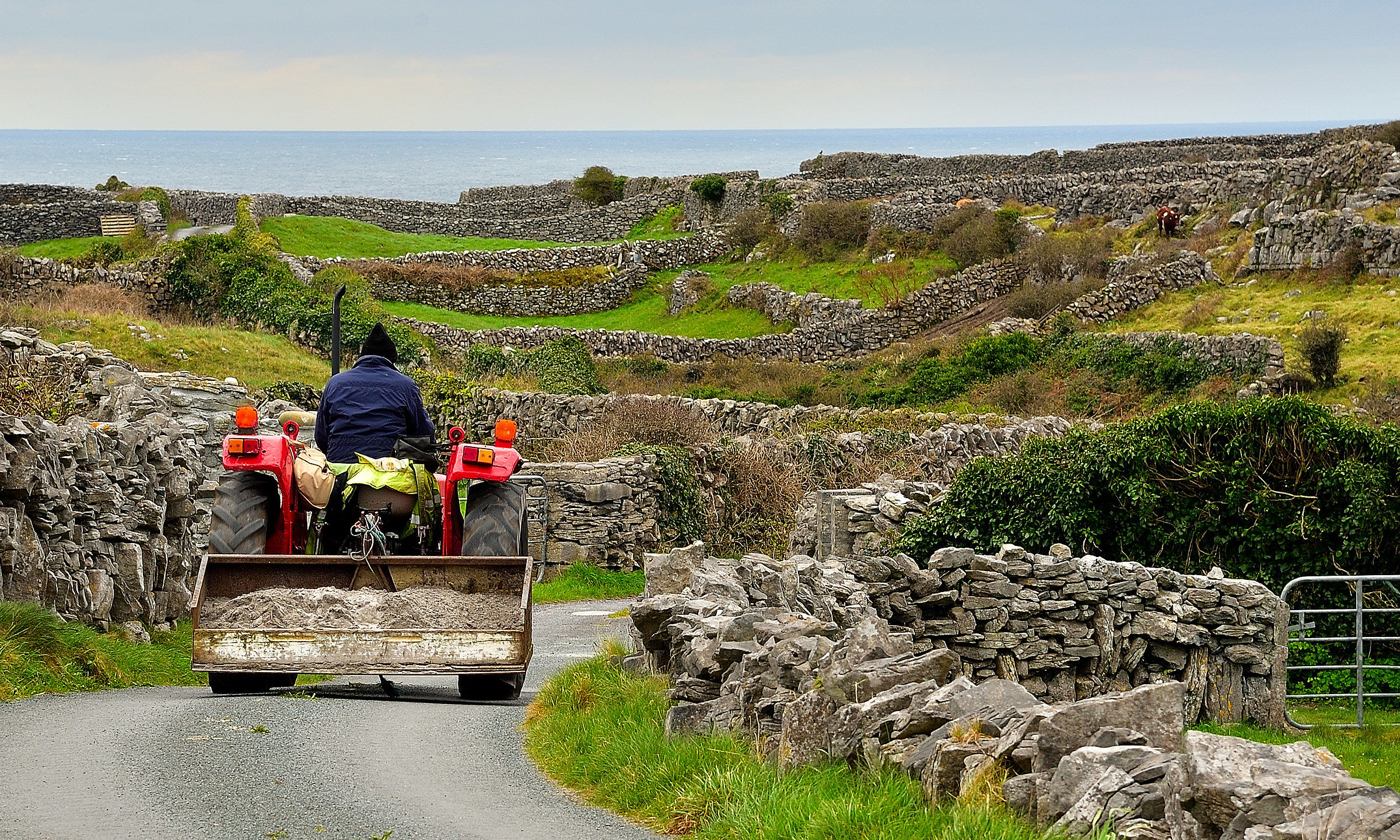 Qual'è la mia fetta?