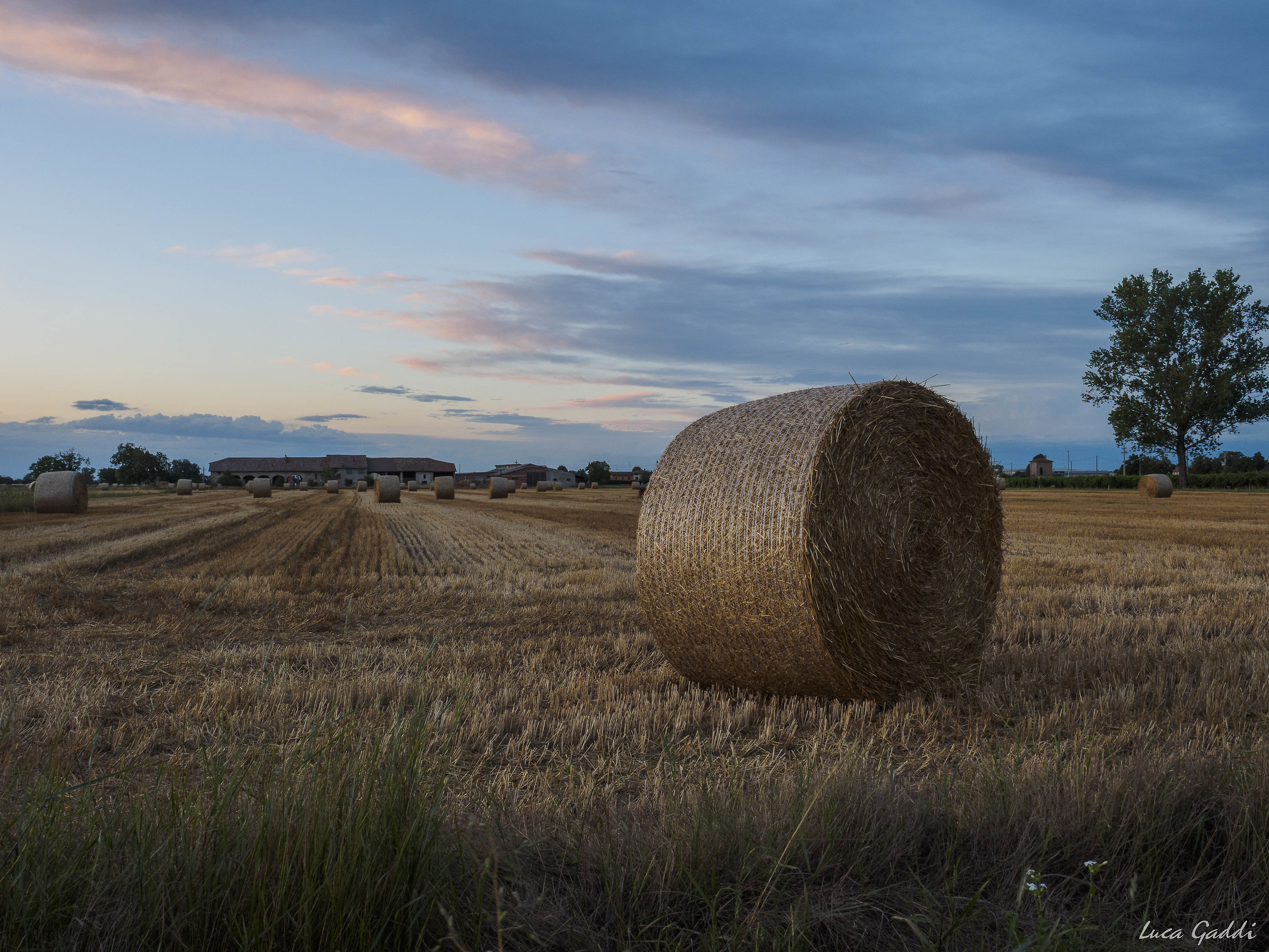 Dusk fields