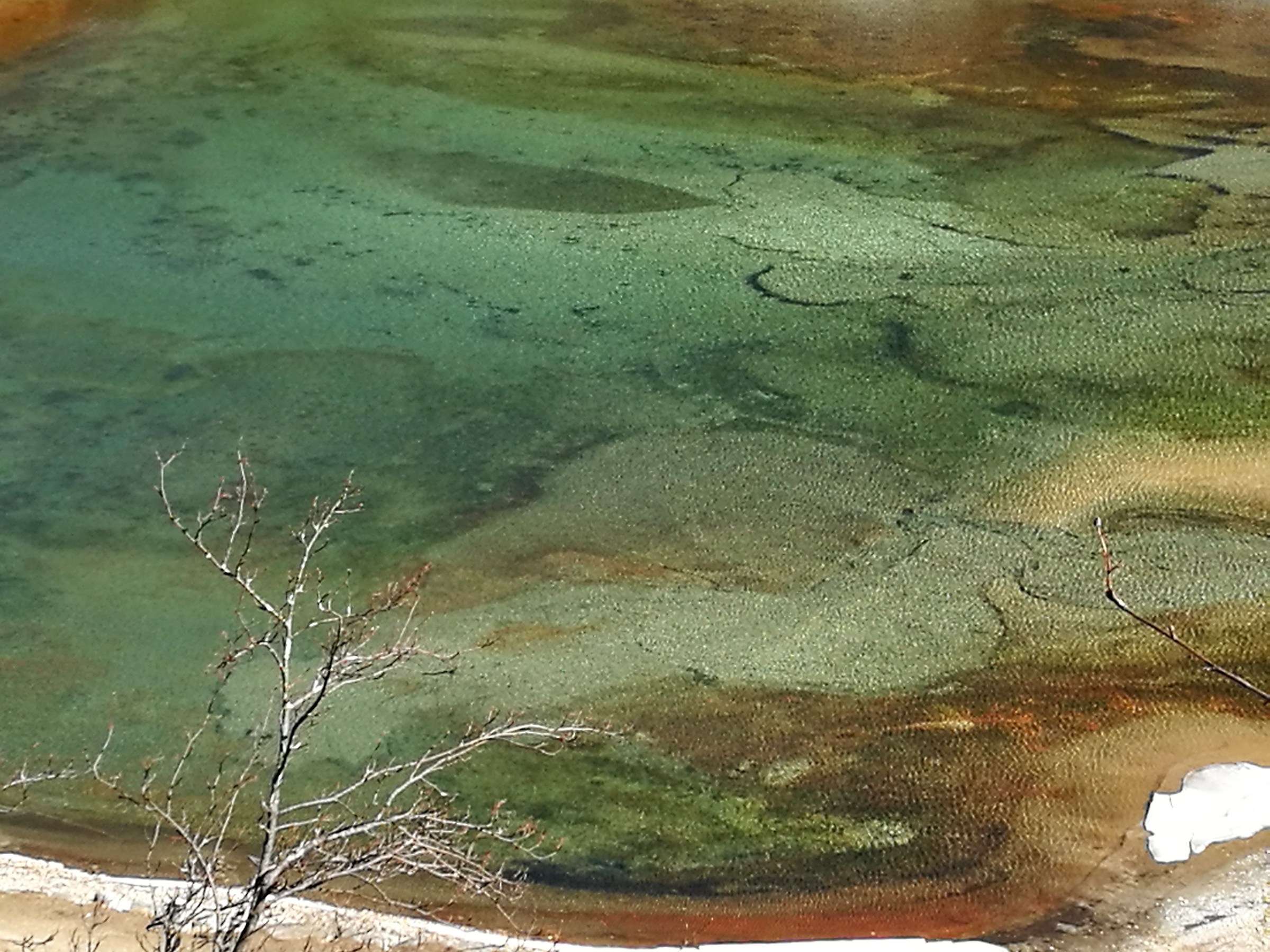 Tutti i blu e verdi dell'acqua