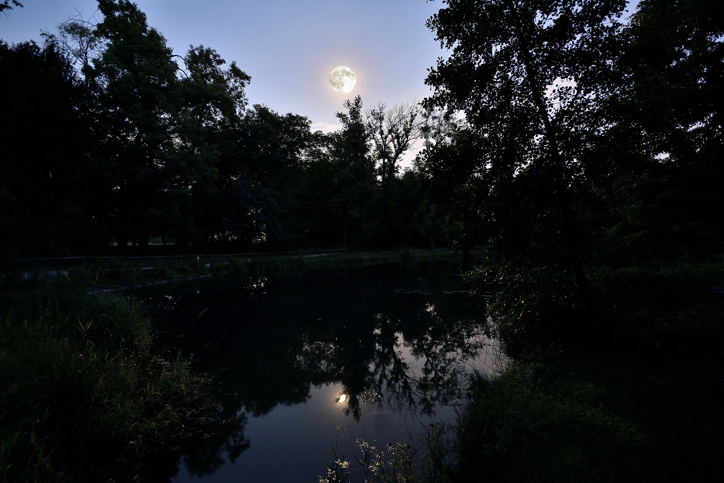 Not everyone sleeps at the Park
