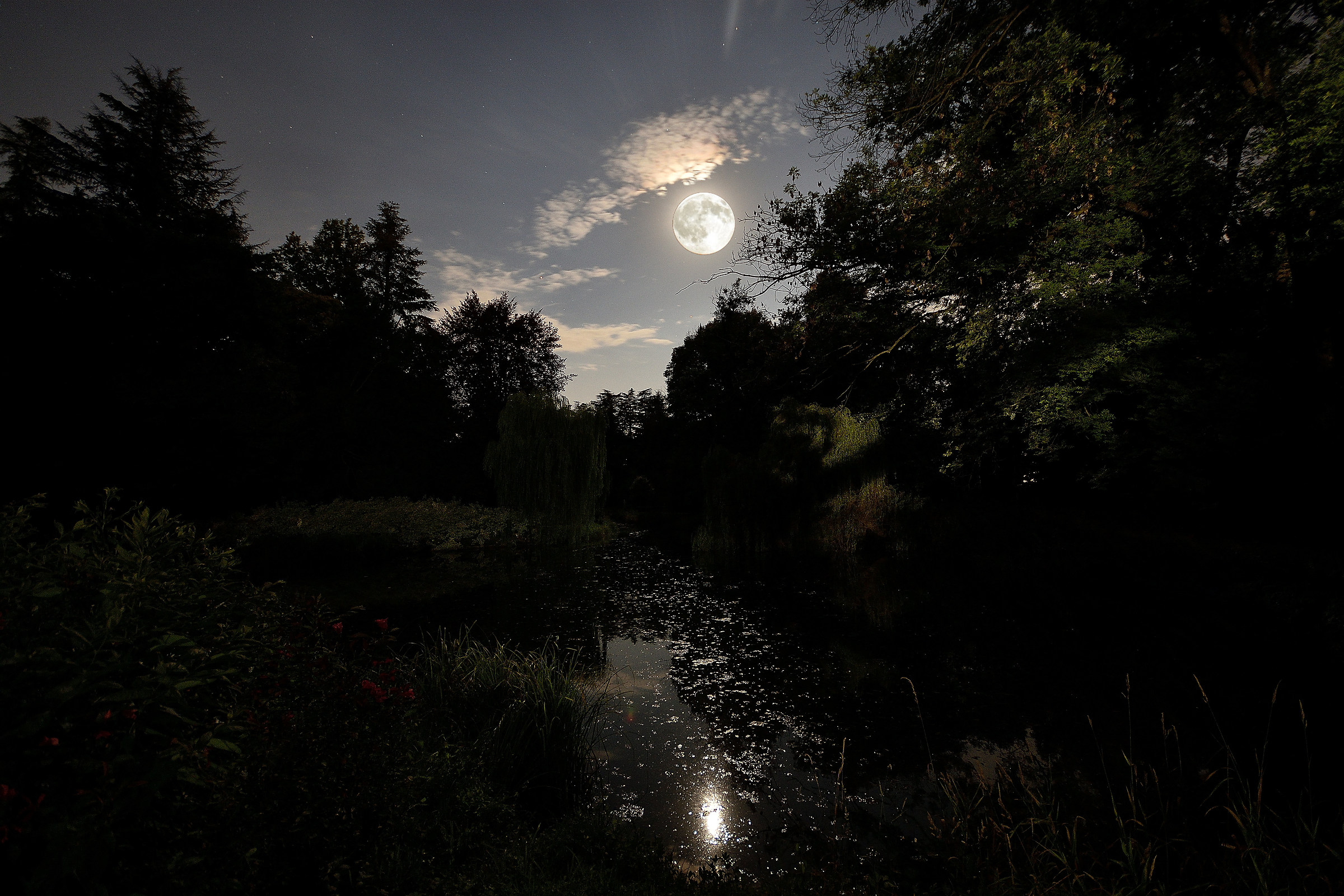 Not everyone sleeps at the Park