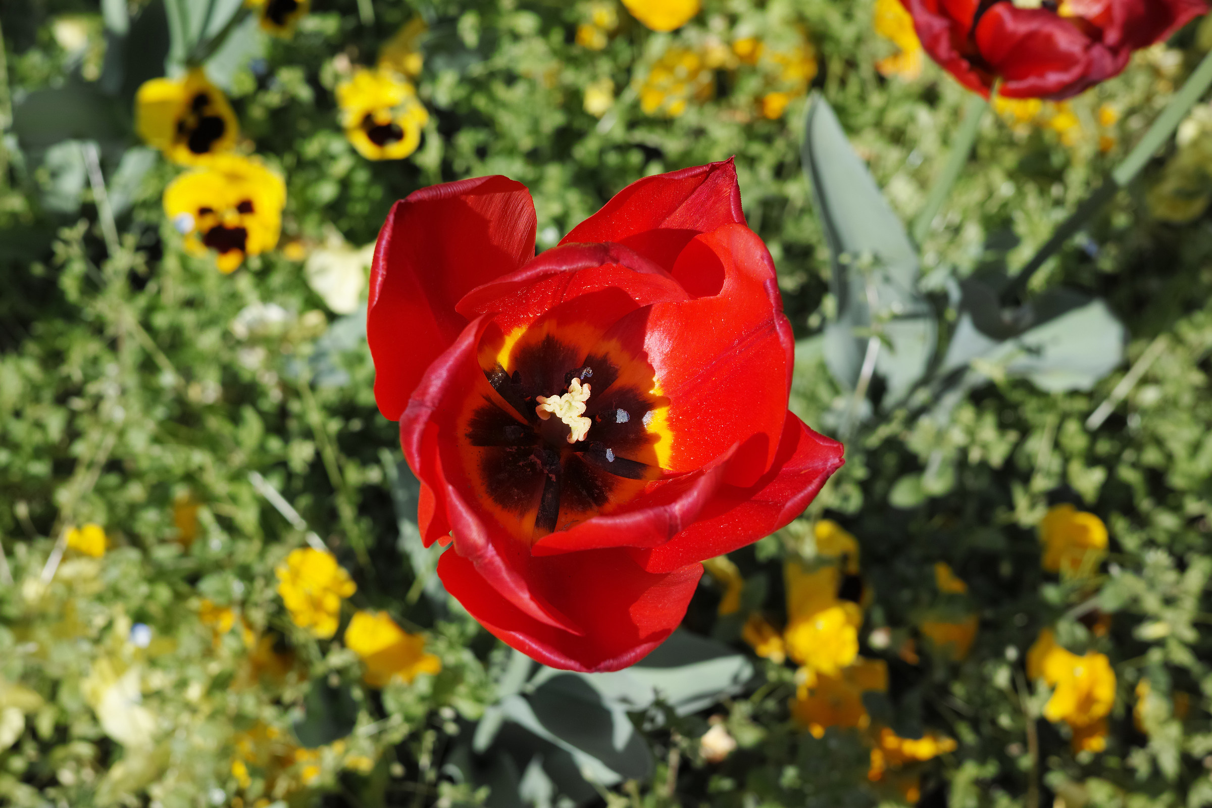 Macro without macros?