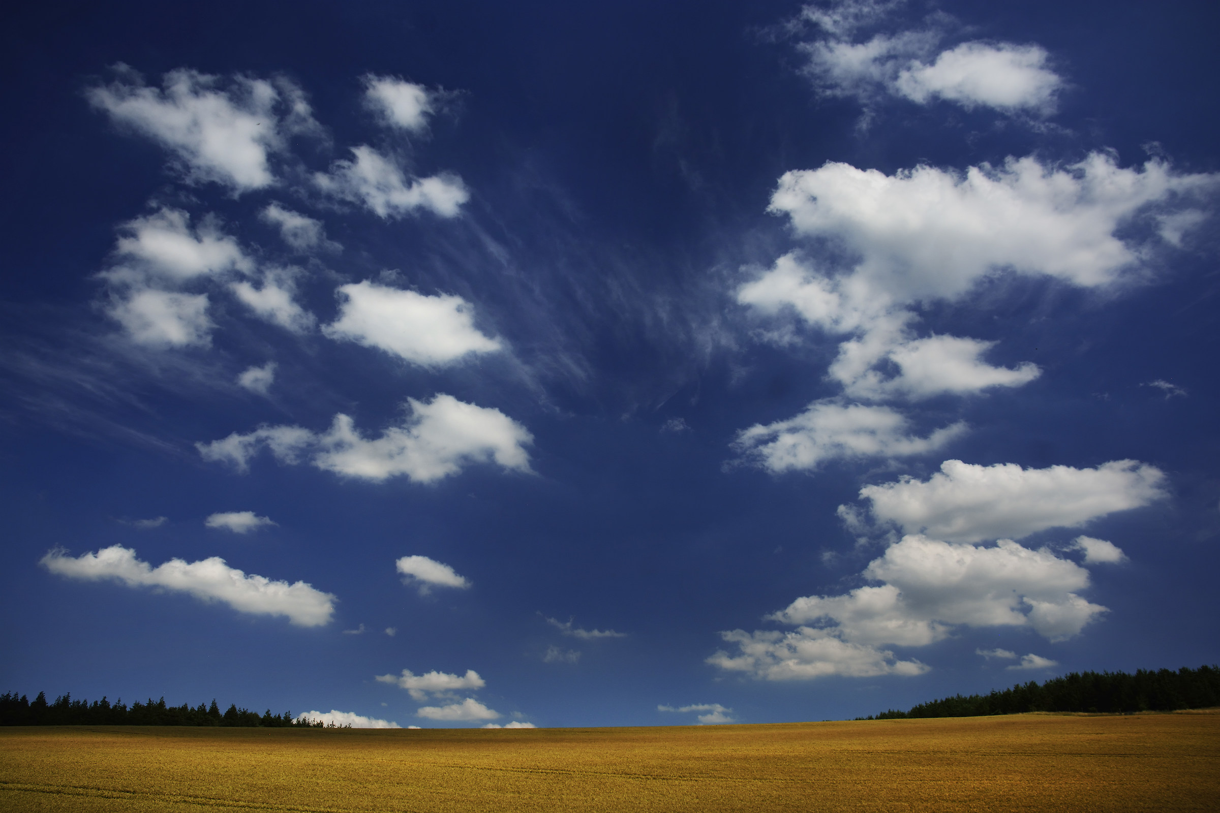 Summertime Clouds (above the Cornfield)