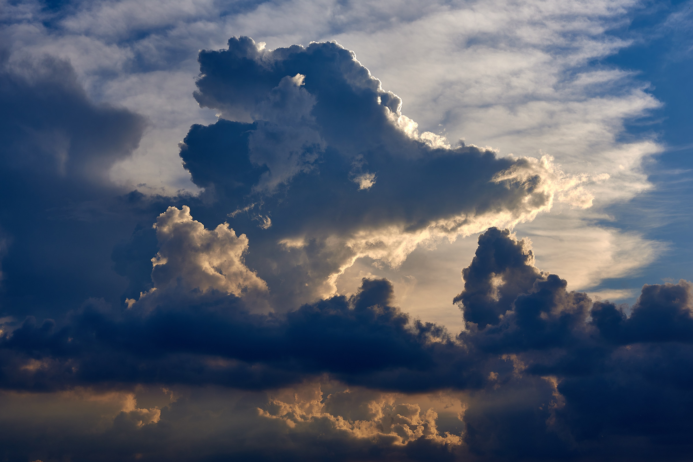 Bambi in the sky with diamonds