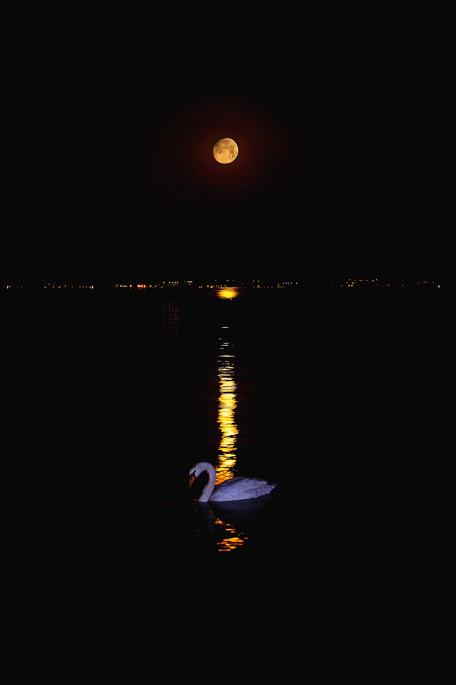 Il Tramonto della Luna