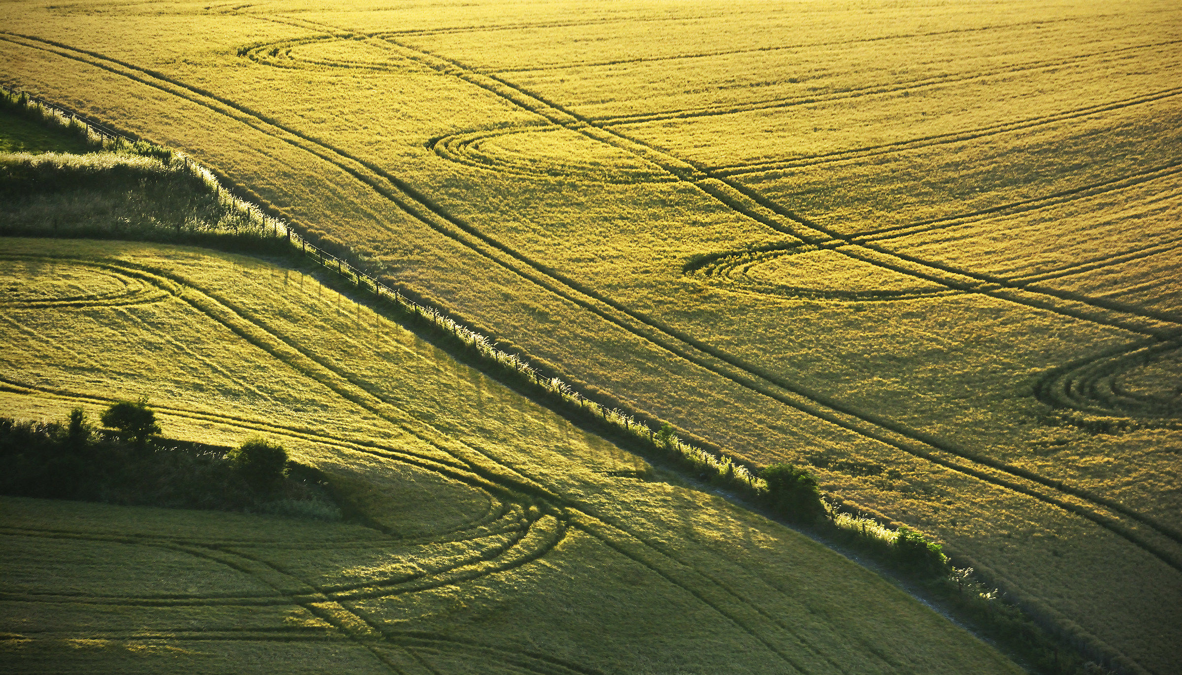 Loops Woven Into the Golden Velvet