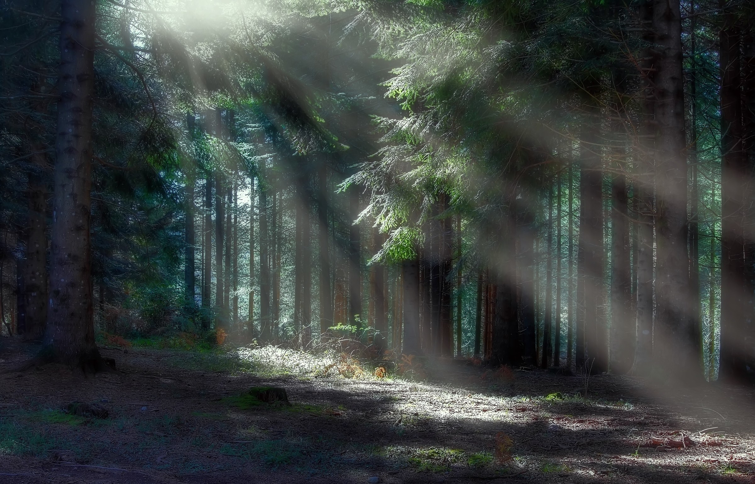 Early in the morning