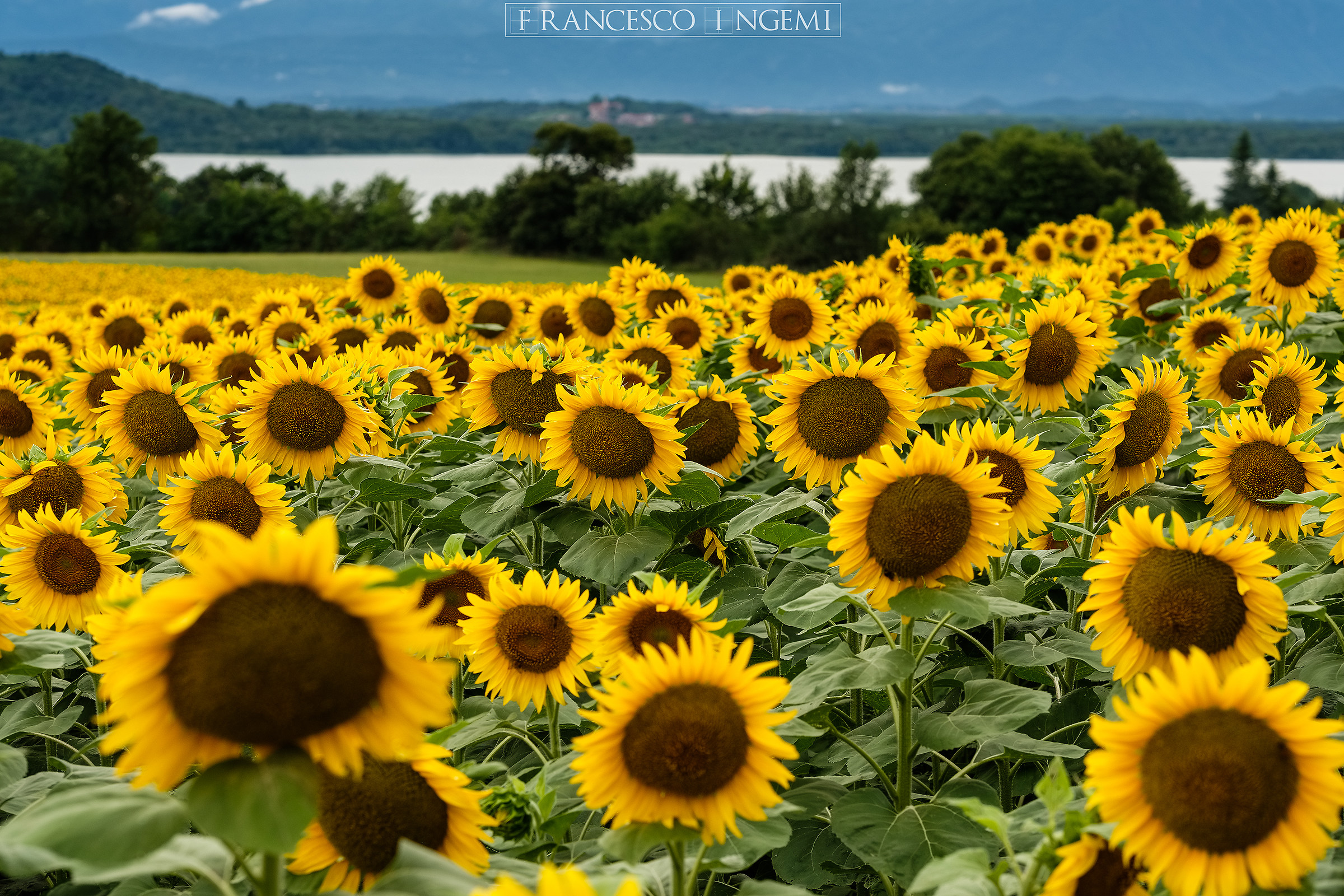 Around Lake Viverone.