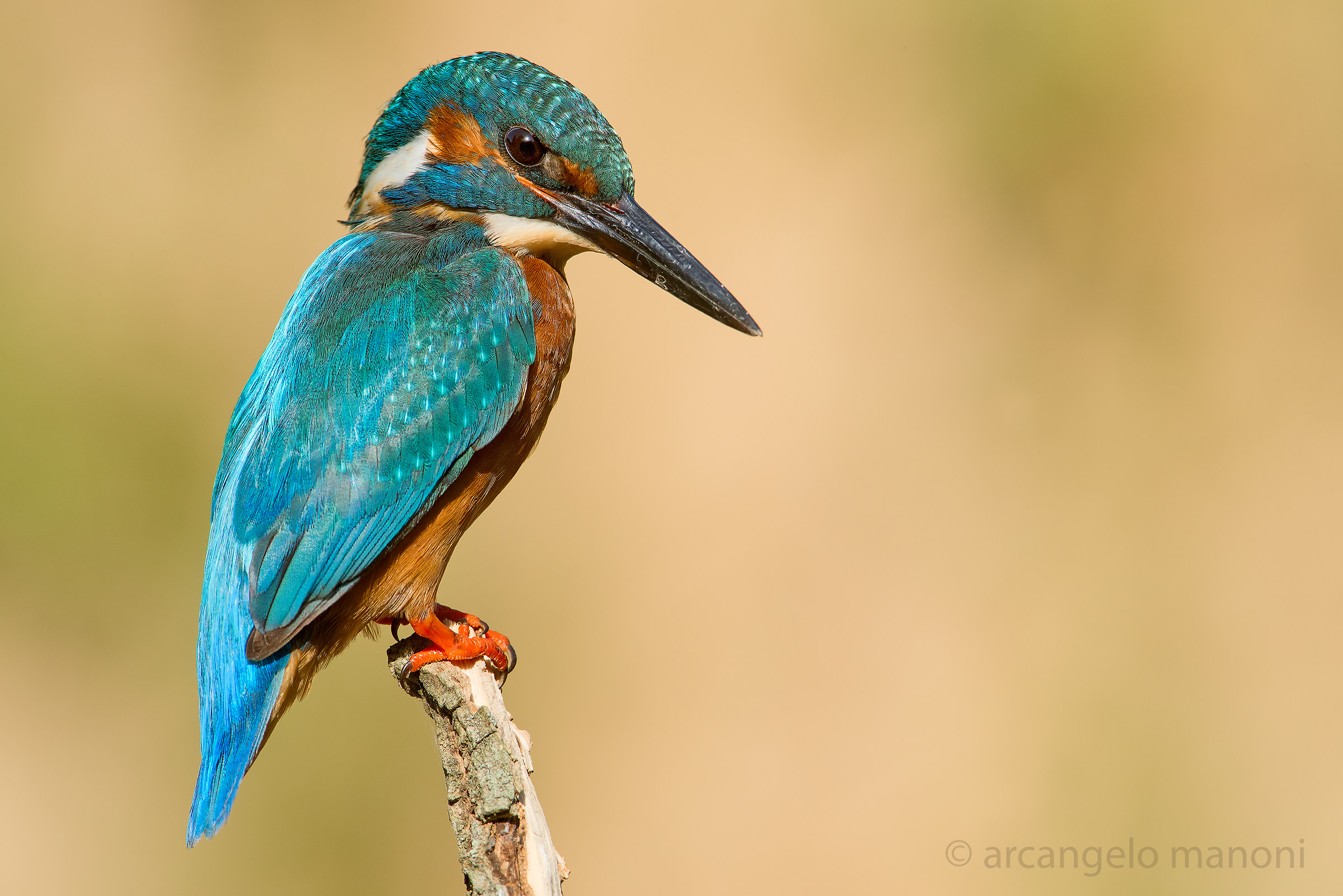 Alla postazione di pesca