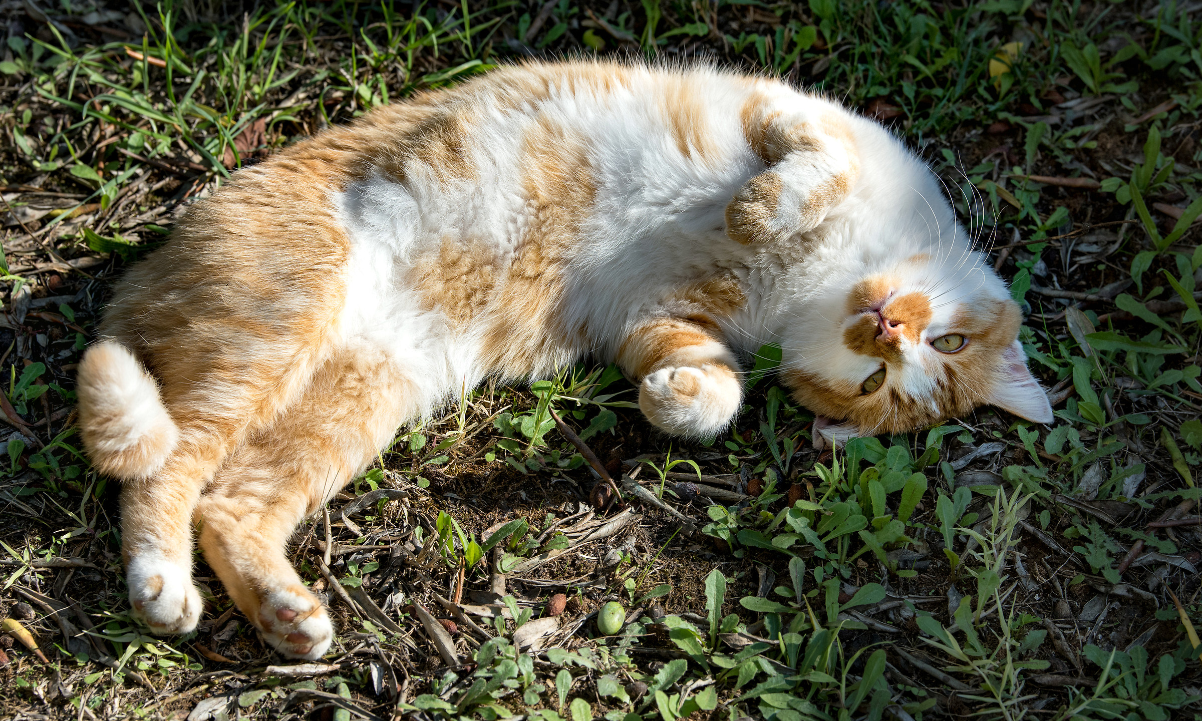 Want to pamper yourself