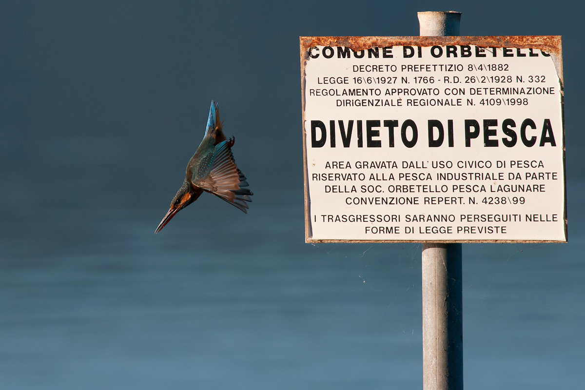 Restrizioni ignorate