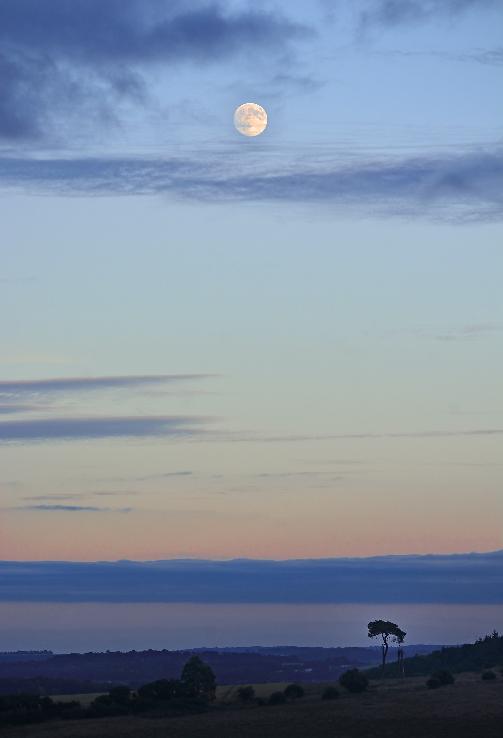 Full Moon Above the Hangman's Tree